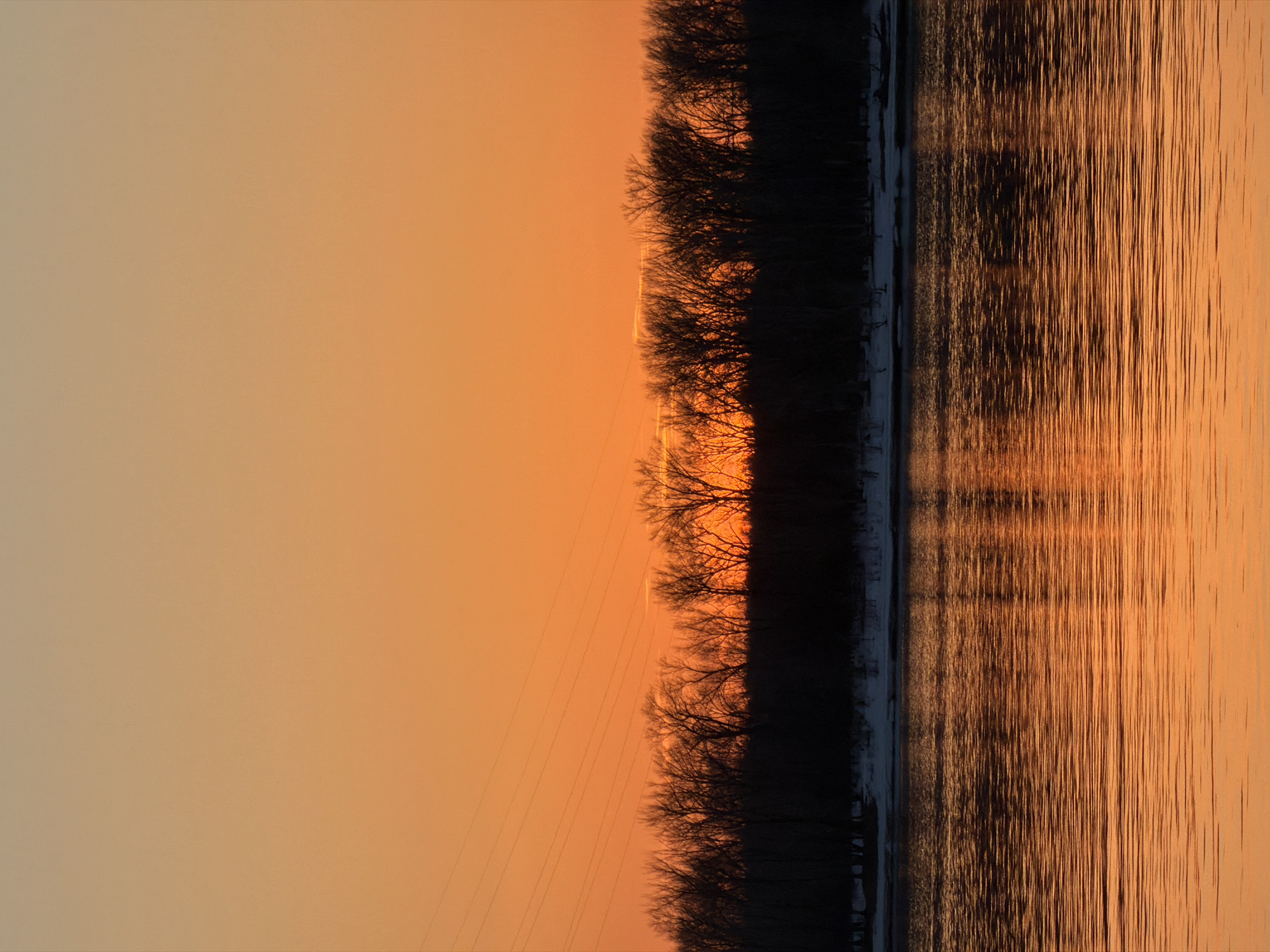 A landscape photograph, oriented vertically, captures a scene at sunset in Chaikovsky, Russia. The right side of the image shows the surface of a body of water, its rippled texture reflecting the golden hues of the setting sun. The opposite bank is lined with a row of bare trees, their silhouettes dark against the bright sky. The sky transitions from a lighter shade near the horizon to a deeper orange at the top, with thin power lines visible. The water is frozen on the coastline, near the trees.