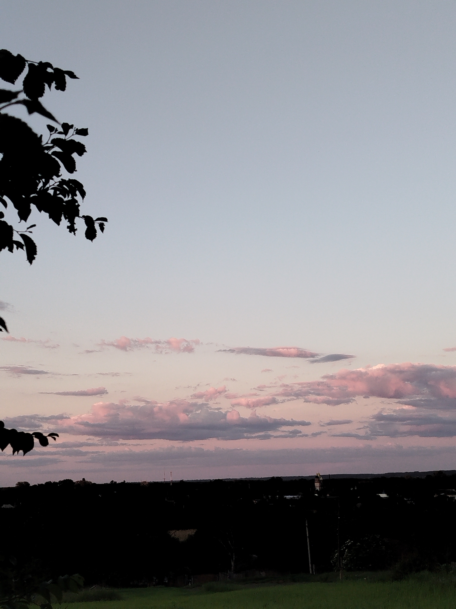 The image captures a serene landscape during either sunrise or sunset. The sky dominates the upper two-thirds of the frame, transitioning from a pale blue-grey at the top to lighter, softer hues closer to the horizon. Numerous clouds are scattered across the mid-sky, painted with delicate pink and purple tones, characteristic of twilight.
In the foreground, the dark silhouettes of leafy tree branches partially frame the scene from the upper and lower left, adding a natural, organic element. The midground features a vast, dark silhouette of land, appearing as a distant forest line or a small town. Within this dark expanse, several distinct objects are faintly visible: a tall structure, likely a church tower, with a light-colored, possibly golden, dome or spire stands out slightly to the right of the center. Further to the right, faint outlines of what appear to be communication towers can be discerned against the sky. The very bottom of the image reveals a strip of dark green grass, suggesting a field or hillside in the immediate foreground.
No people or specific activities are depicted, giving the scene a calm and tranquil ambiance. The soft lighting and pastel cloud colors are the most notable details, suggesting a peaceful end or beginning of a day. There is no visible text in the image.
