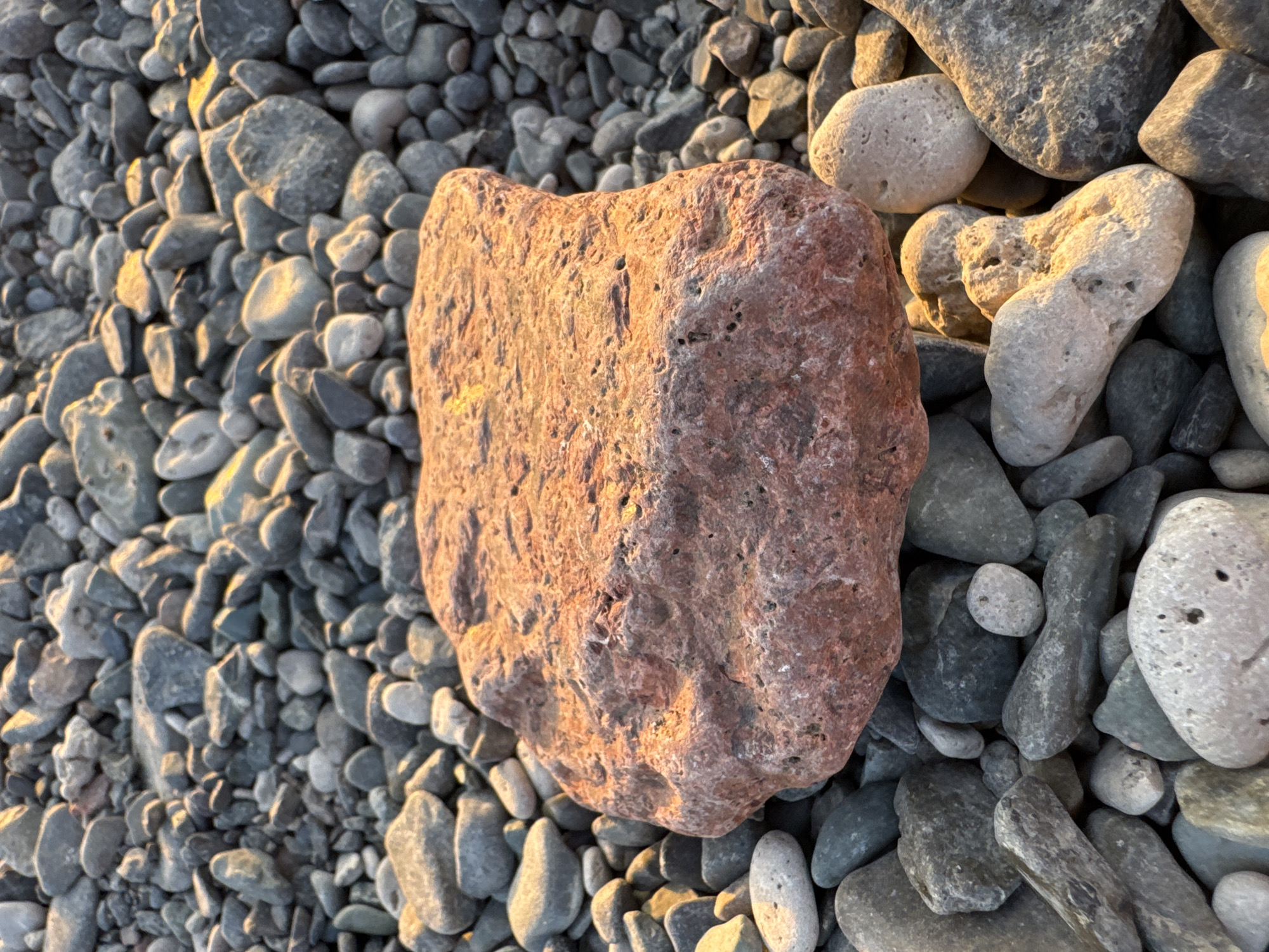 A large, reddish-brown rock with a rough texture sits prominently in the foreground, surrounded by a multitude of smaller, smooth, grey and white stones. The rocks are scattered on a surface that appears to be a beach or riverbed. The lighting suggests it is either sunrise or sunset, casting long shadows and highlighting the textures of the rocks with warm, golden tones. The background consists of more of the smaller stones, filling the frame and creating a textured, natural landscape. There are no people or animals visible in the image. The scene is a still, natural environment likely found outdoors. There is no specific information about Zharbulak, Kazakhstan that can be discerned from the image itself.