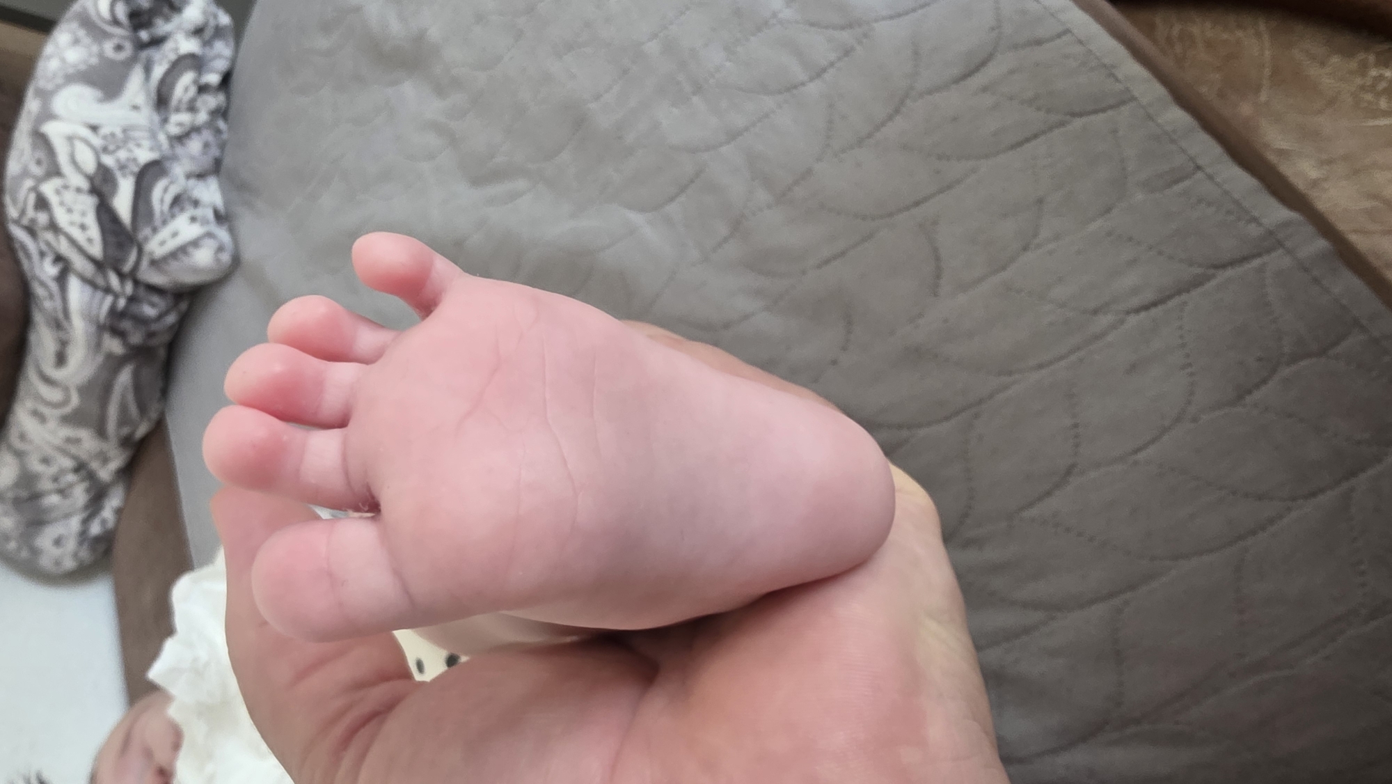 An adult's hand tenderly holds a baby's foot in a close-up, indoor shot. The baby's small, pink foot is the central focus, with its five toes clearly visible, slightly curled. The adult's palm cradles the foot, emphasizing the size difference.
The setting appears to be a comfortable, domestic environment. In the background, to the left, there's a gray and white patterned fabric, possibly a blanket or clothing, with intricate designs. Most of the background is occupied by a gray-brown quilted fabric, likely a bedspread or blanket, featuring a repetitive, subtle leaf or wave-like pattern. To the far right, a narrow strip of brown material, possibly part of a wooden bed frame or furniture, is visible. Below the baby's foot, a crumpled piece of white material, perhaps a tissue or burp cloth, can be seen.
The activity captures a moment of gentle interaction, likely between a parent or caregiver and an infant. The image conveys a sense of warmth and care. The lighting is soft and even, suggesting an indoor daytime setting without direct sunlight. There is no visible text in the image. No specific location cues for Blagoevgrad, Bulgaria are apparent.