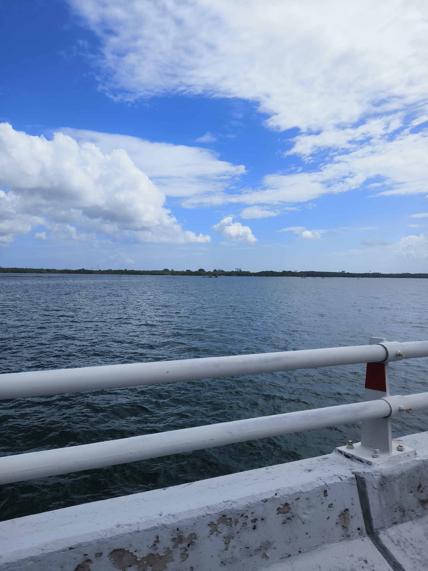 The image is a view from a bridge overlooking a body of water. The water is a deep blue-green and appears choppy with small waves. In the distance, a tree line forms the horizon, with a few scattered structures visible. The sky is a vibrant blue with fluffy white clouds. The foreground of the image features a white railing and a concrete structure, both showing signs of wear and tear. The railing is made of two horizontal pipes supported by vertical posts. A small red and white marker is attached to one of the posts. The concrete structure has peeling paint and a rough texture. The scene suggests a coastal or riverside environment.