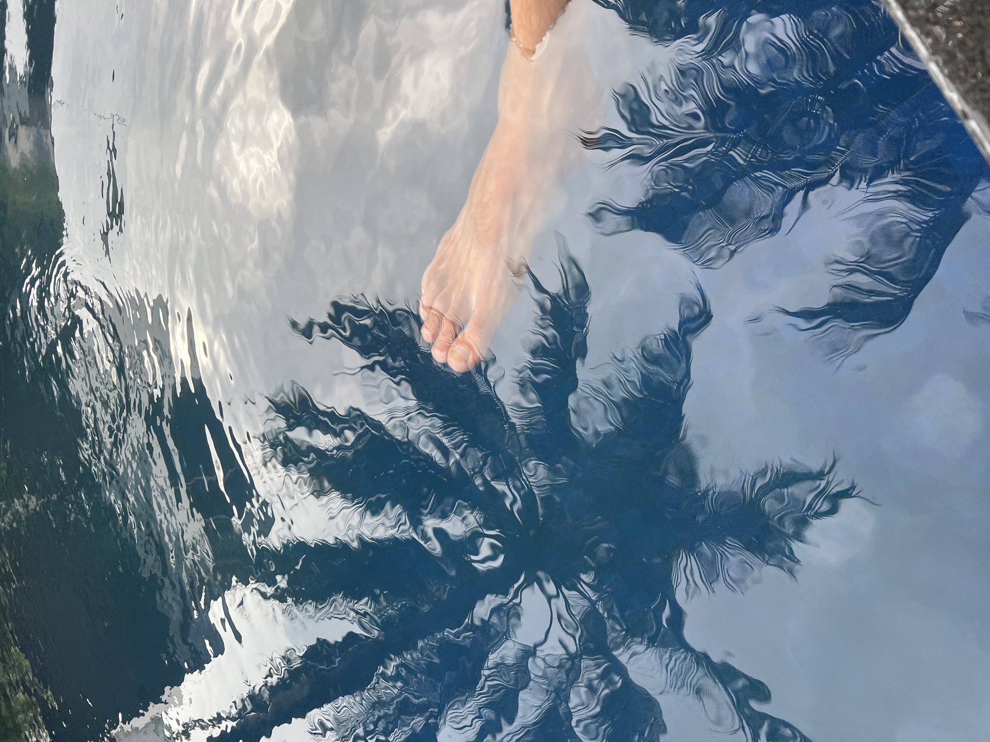 The image presents an overhead view of a person's bare right foot partially submerged in clear, rippling water. The foot, with its toes distinctly visible, is positioned in the upper-middle left portion of the frame.
The surface of the water is highly reflective, displaying intricate patterns created by gentle waves. These ripples cause distortion in the reflections, which prominently feature a large palm tree. The distinctive silhouette of the palm's fronds is cast across a significant portion of the water, especially in the lower and central areas, appearing as dark, abstract shapes against the lighter reflections. Interspersed are bright, light gray and white patches, indicating reflections of a sunny sky or clouds. In the top right corner, a dark, rigid edge of what appears to be a pool or a structured water basin is visible.
The scene depicts an outdoor setting, likely a swimming pool or a calm, shallow body of water, under bright daytime conditions. The activity is the simple act of dipping a foot into the water, conveying a sense of relaxation or testing the temperature. The presence of a palm tree reflection and clear, blue-toned water aligns with the tropical context of Bac Nha Trang Ward, Vietnam. There is no visible text within the image.