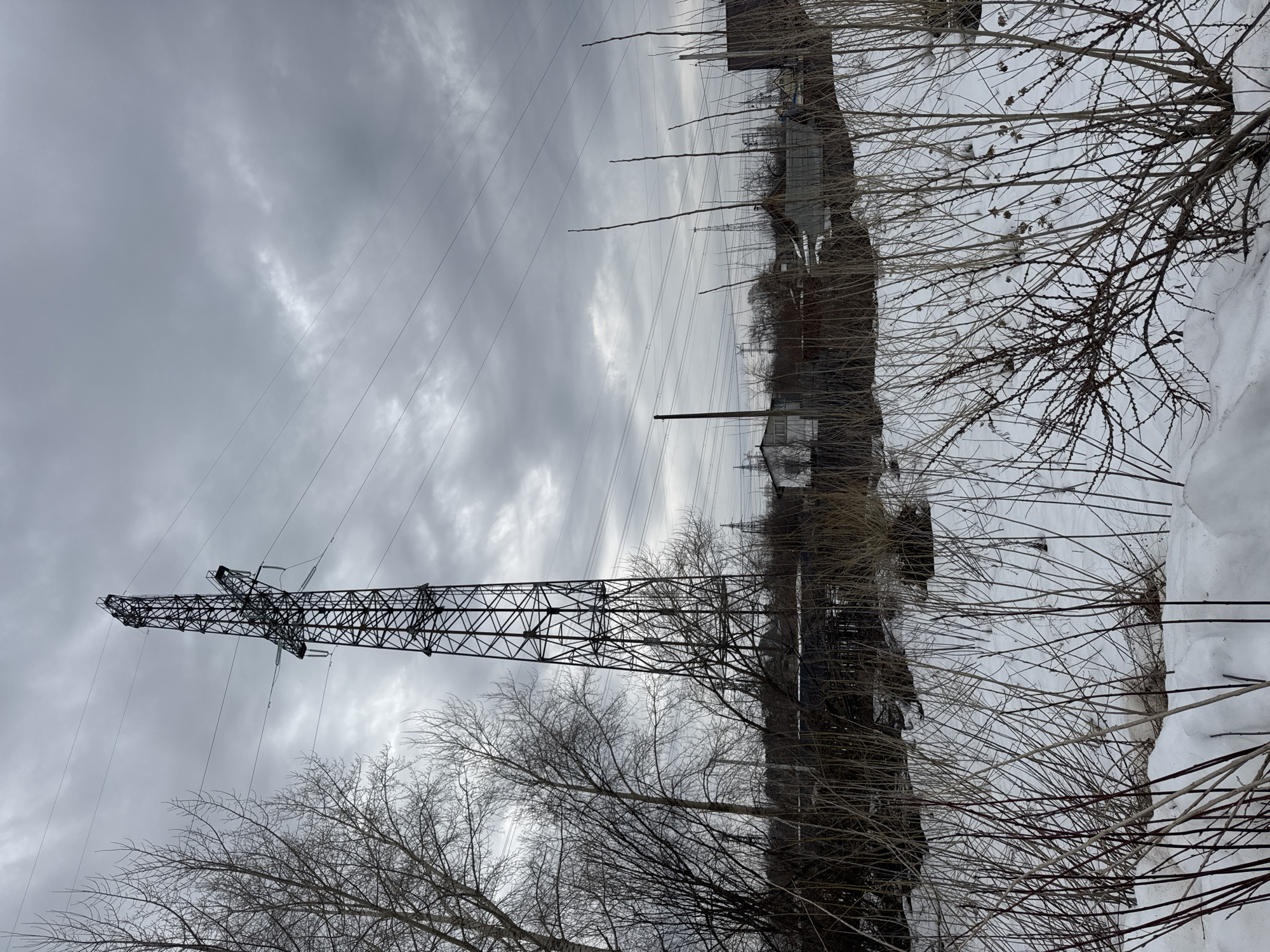 The image shows a winter scene in what appears to be an industrial or semi-industrial area of Chaikovsky, Russia. The sky is overcast and gray. A large, metal electricity pylon dominates the left side of the frame, with power lines extending from it across the sky. Bare trees and bushes line the foreground and middle ground, partially obscured by snow. In the background, indistinct buildings and structures are visible, including a smokestack. No people or animals are visible. The overall impression is one of a cold, bleak, and utilitarian environment.