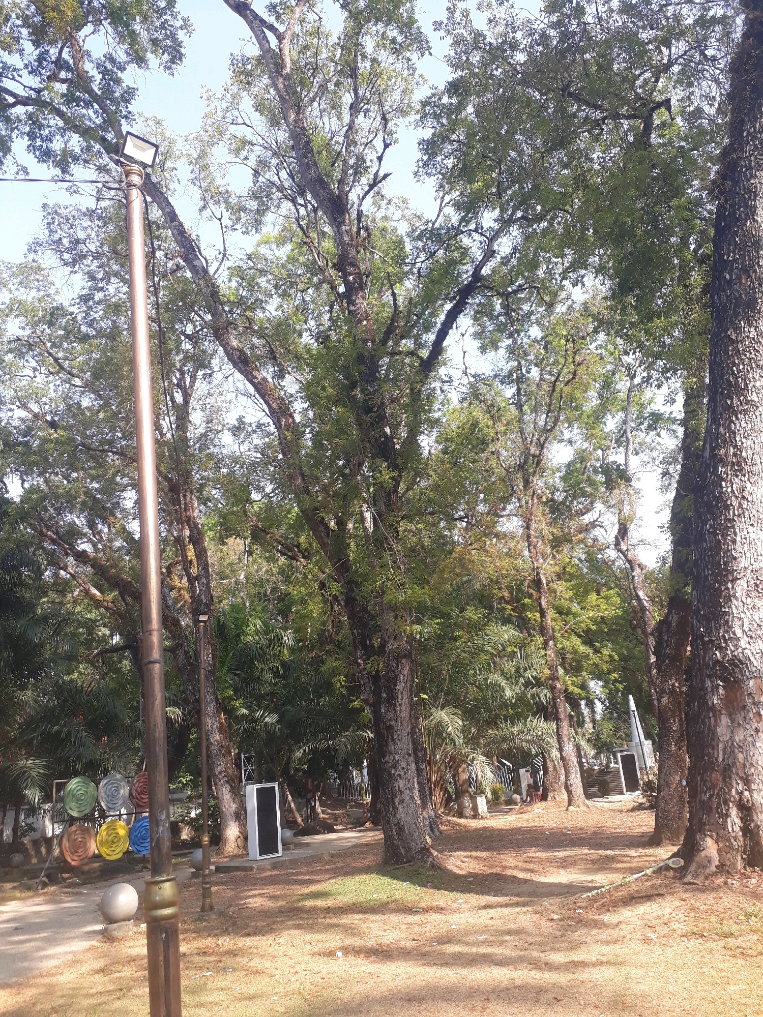 The image depicts a sun-dappled park scene, likely in Pangkalpinang, Indonesia, characterized by large, mature trees with lush green foliage. In the foreground, a weathered, metallic lamppost stands prominently on the left, with a modern, rectangular light fixture at its apex. To the left of the lamppost, several spherical, light-colored decorative elements rest on a paved surface, adjacent to a row of circular, colored wall decorations featuring rose-like patterns. Further into the park, a pathway meanders through the trees, with dry leaves scattered across the ground. In the mid-ground, a white rectangular structure with a dark panel is visible, along with other park amenities. The background reveals more dense vegetation and trees, creating a serene, natural environment. The lighting suggests it is daytime, with sunlight filtering through the canopy, casting shadows on the ground. There are no people clearly visible in the frame.
