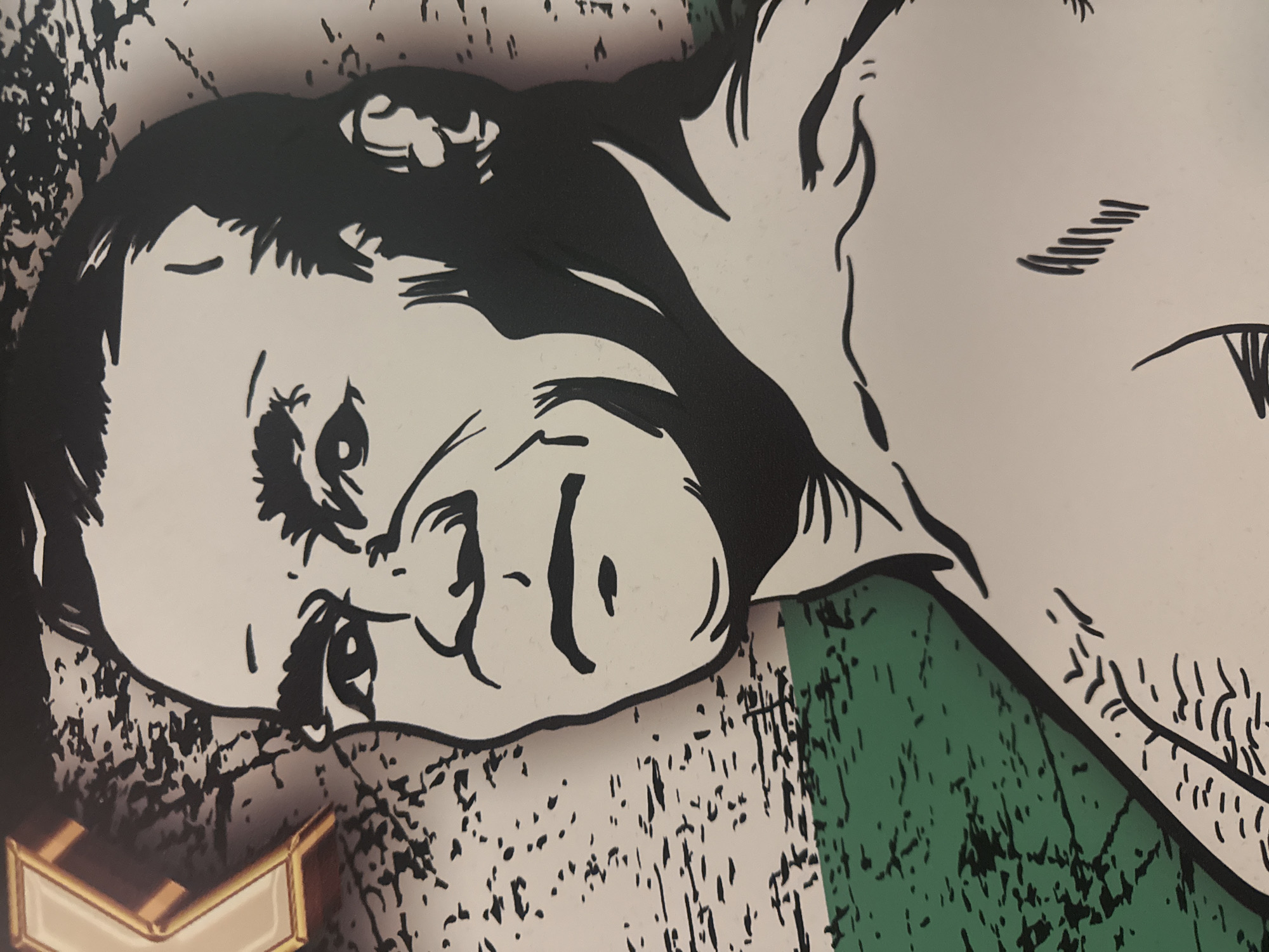 The image presents a graphic, stylized illustration featuring two human faces, rendered primarily in bold black outlines against white and a distinct green background. The aesthetic evokes a comic book or pop art style.
The left side prominently displays a child's face in profile, with closed eyes, a slightly open mouth, and a furrowed brow, suggesting contemplation, sleep, or sadness. Its hair is dark and stylized. To the right, partially overlapping the child, an adult face is visible, depicted with an eye, part of the nose, and a defined jawline, also in black and white. Both faces are stylized with sharp lines and flat areas of black and white.
The background is textured, featuring large areas of white and a striking dark green, both overlaid with a distressed pattern of black splatters and lines, giving a gritty or weathered appearance. The illustration is oriented on its side. In the bottom left corner, a small, partially visible, gold-colored rectangular object with beveled edges suggests a decorative accent or part of a frame. No specific activity is depicted, as it is a static artwork. There is no visible text. The artwork is located in Varna, Bulgaria.