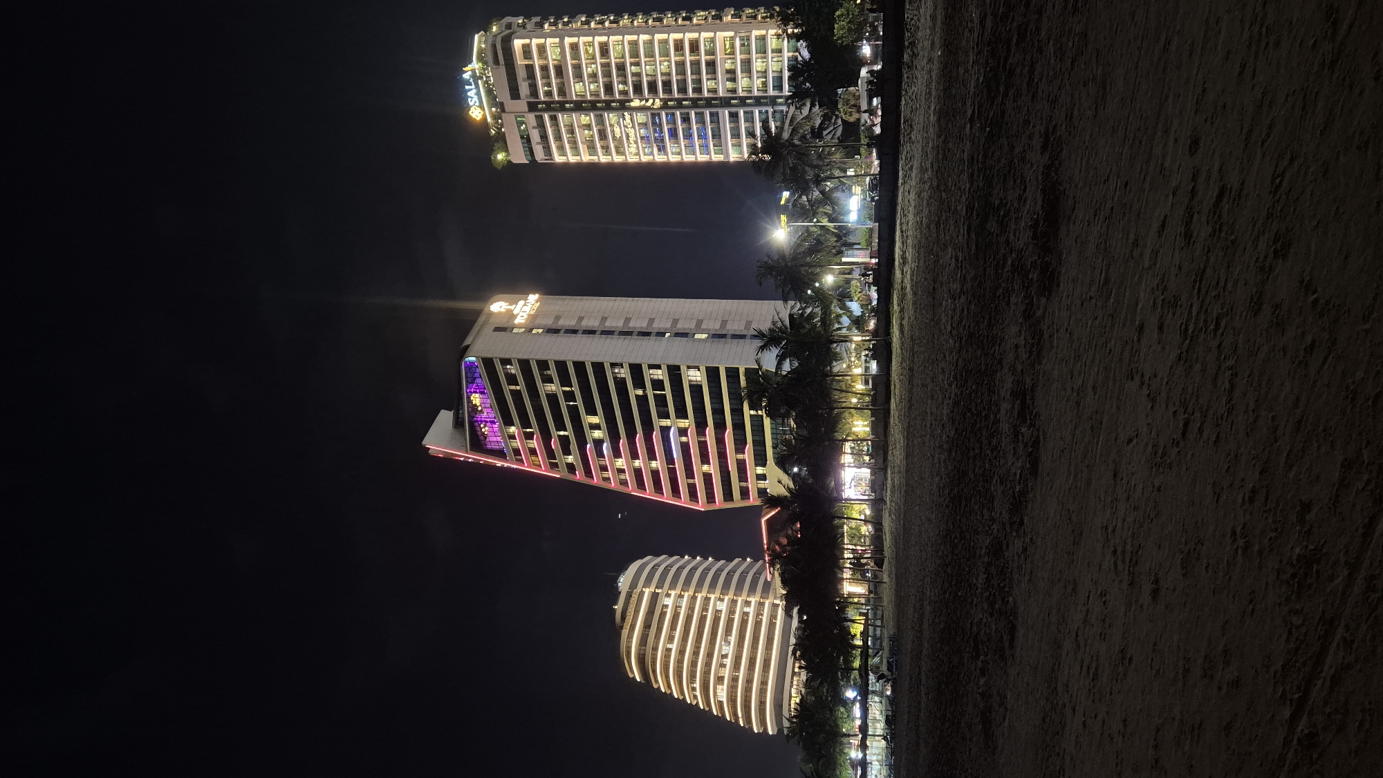 This is a night-time photograph taken from a sandy beach facing a waterfront promenade lined with palm trees and several modern, illuminated skyscrapers in Đà Nẵng, Vietnam. The buildings are the most prominent features, with distinct architectural styles and colorful lighting.
On the left, a curved, tiered building with horizontal white lights wraps around its structure. To its right, a taller, rectilinear skyscraper is illuminated with pink and purple lights along its angled edges and purple lights at its apex. The word "TOULANE HOTEL" is visible in illuminated text on its upper section. Further to the right, another tall, rectangular skyscraper is lit with warm, yellow lights around each floor and has a sign at its peak that reads "SALA."
The beach in the foreground is dark and sandy, with subtle textures from the sand. Beyond the palm trees, the promenade is visible with a line of lights indicating shops or restaurants. Several cars are parked along the promenade, and some indistinct figures can be seen walking. The sky is dark, typical of nighttime, with some faint clouds.