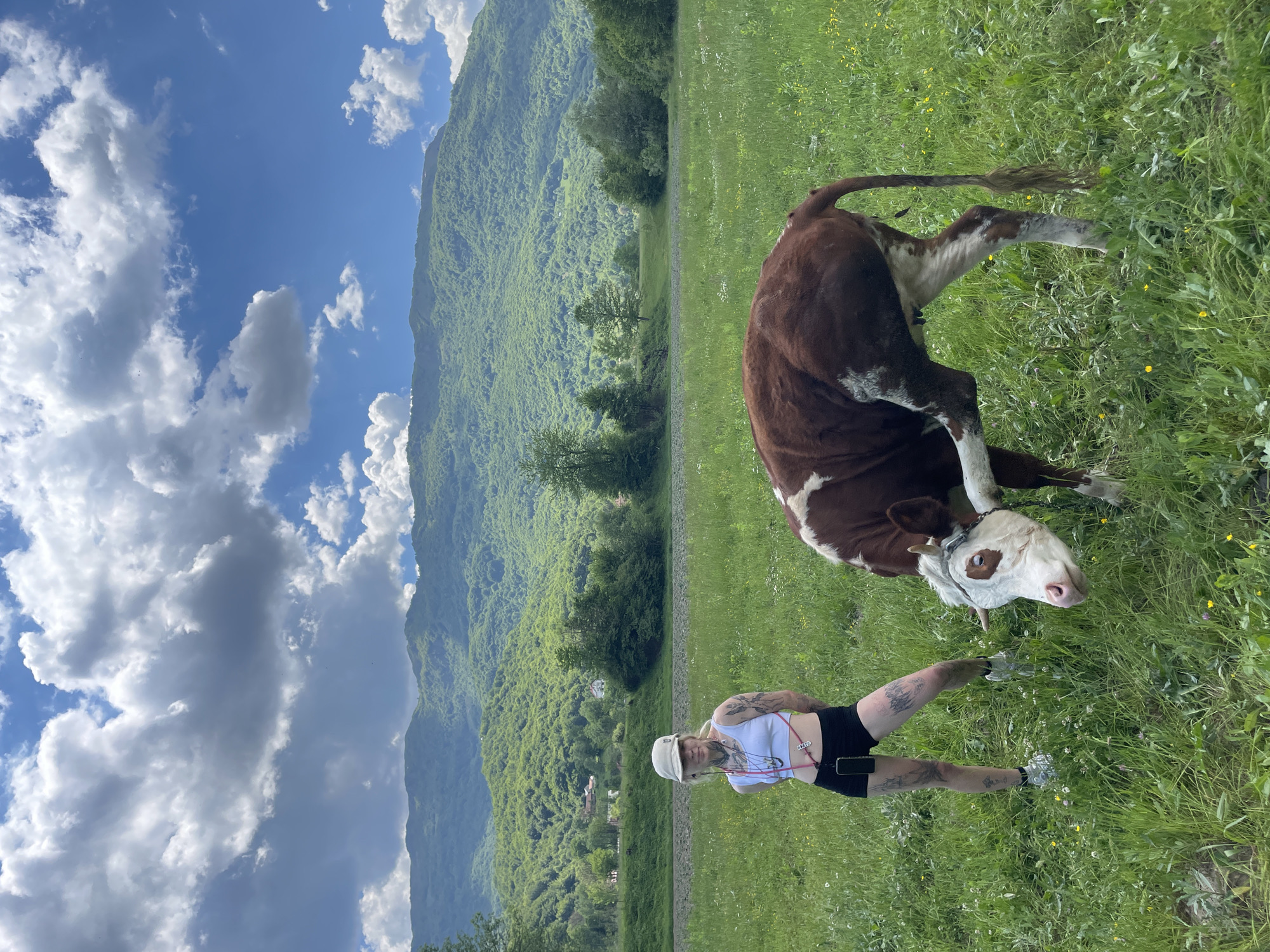 A vertically oriented photograph depicts a landscape in Polja, Montenegro. The sky is blue with fluffy white clouds. A large, densely forested mountain range forms the backdrop. In the foreground, a woman stands in a grassy field beside a cow. The woman wears a white tank top, black shorts, a white cap, and sneakers. She has tattoos on her legs and arms. The cow is brown and white. It is lying down in the grass. The grass is green with scattered yellow flowers.
