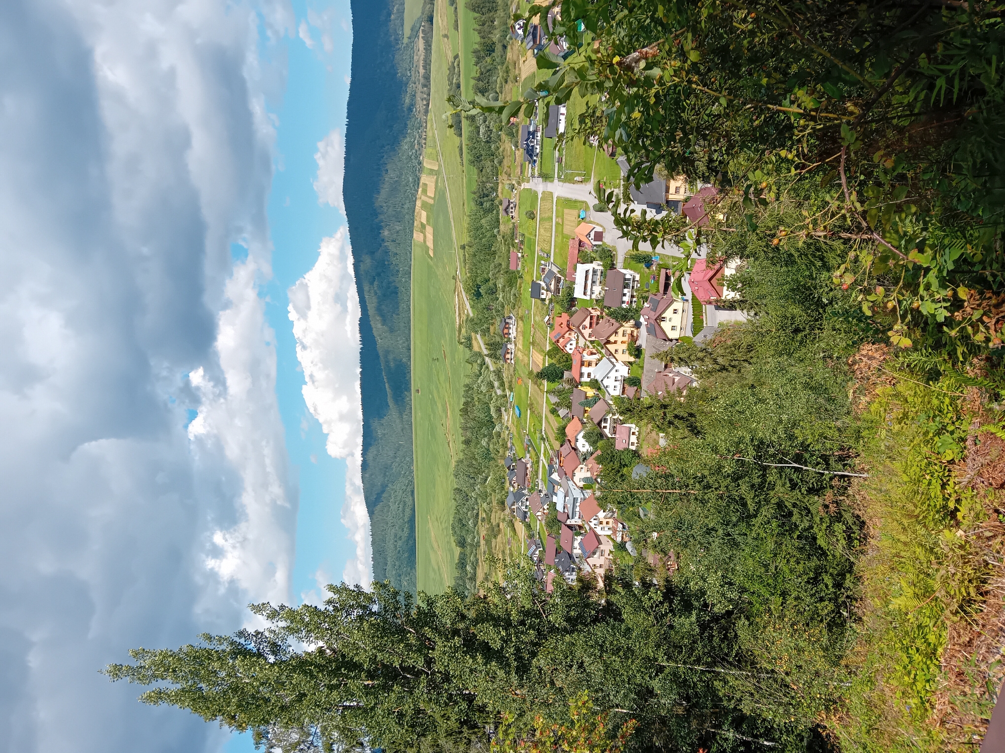 This is a medium-range, outdoor, eye-level shot of a village in Zuberec, Slovakia, on a partly cloudy day. The foreground is dominated by the dark green foliage of trees and bushes, with some dry, brown leaves and ferns visible. In the mid-ground, a cluster of houses with red, grey, and brown roofs are spread out across a green landscape. A paved road runs through the village, with more houses and trees visible on either side. The background features rolling green hills and fields, with a darker, forested mountain range further in the distance. The sky is a mix of blue and large, grey clouds, with some patches of white. There are no people or animals visible in the image.