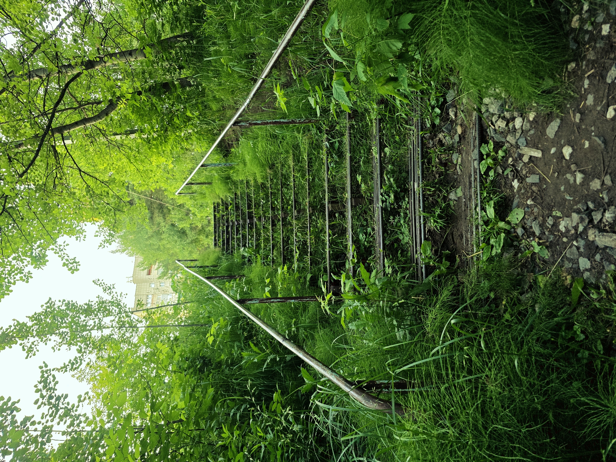 An outdoor, low-angle, eye-level, full shot captures a weathered metal staircase ascending a grassy incline under a bright, overcast sky. The steps, made of parallel metal bars, are partially overgrown with lush green grass and small plants, with some debris on the ground. Metal handrails, showing signs of rust and wear, flank the stairs on either side. The surrounding area is densely populated with vibrant green trees and foliage, obscuring much of the background except for a distant, light-colored, multi-story building peeking through the leaves. The scene appears to be in a park or a natural area within the city of Chaikovsky, Russia. There are no people or animals present in the image. The overall impression is one of nature reclaiming man-made structures.