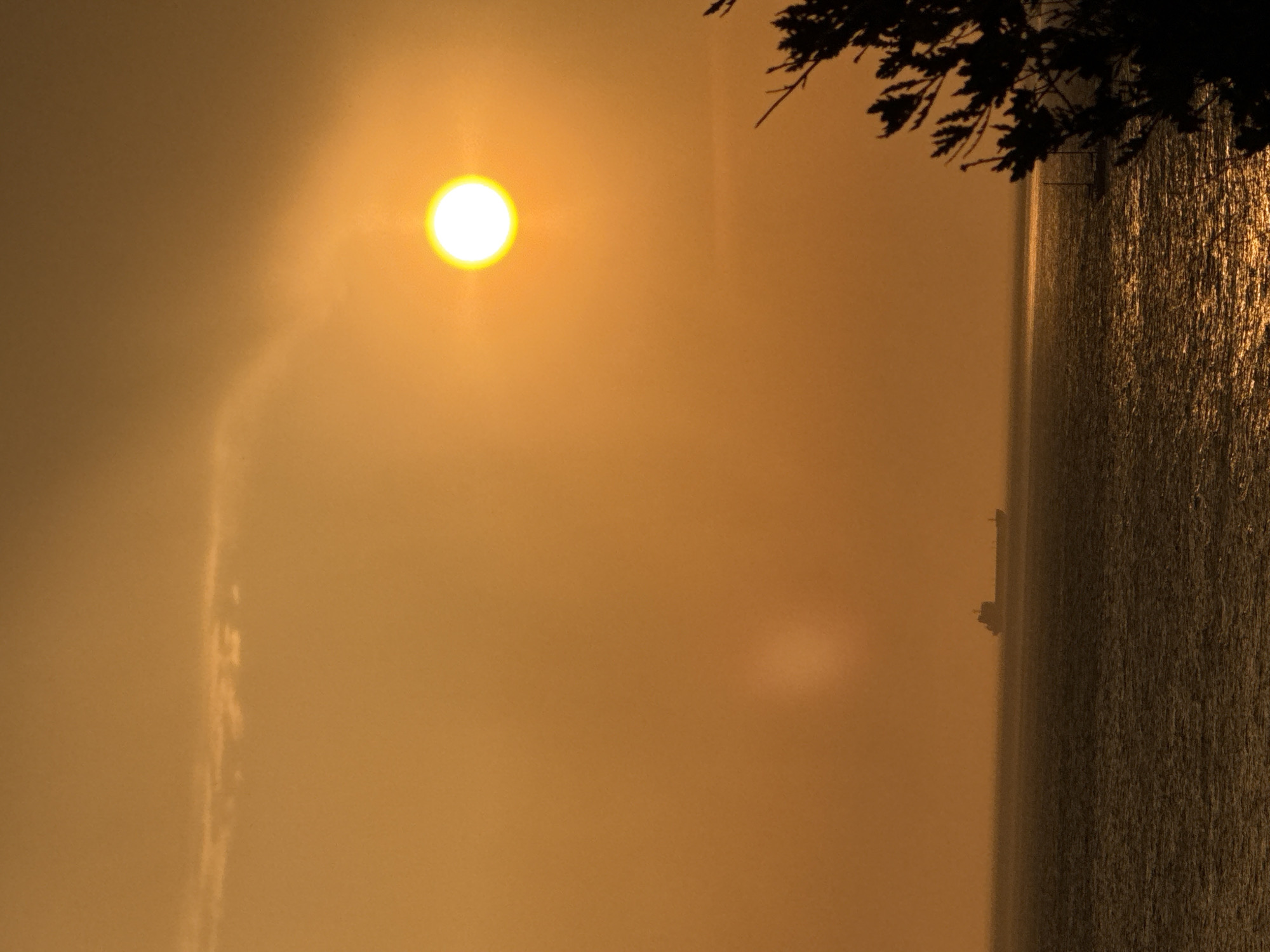 The image depicts a sunset over the sea, with a hazy orange sky dominating the scene. The sun, a bright, white-yellow orb, is positioned in the upper right quadrant. A long, dark silhouette of a cargo ship is visible on the horizon in the middle left of the frame. The water in the foreground is a dark, choppy texture with shimmering reflections from the setting sun. On the right edge of the image, a dark silhouette of tree branches and foliage is visible, framing the seascape. There are no people visible in the image. The overall impression is one of a tranquil, yet somewhat melancholic, coastal sunset. It is not possible to determine the specific location within Gelendzhik, Russia from the image alone.