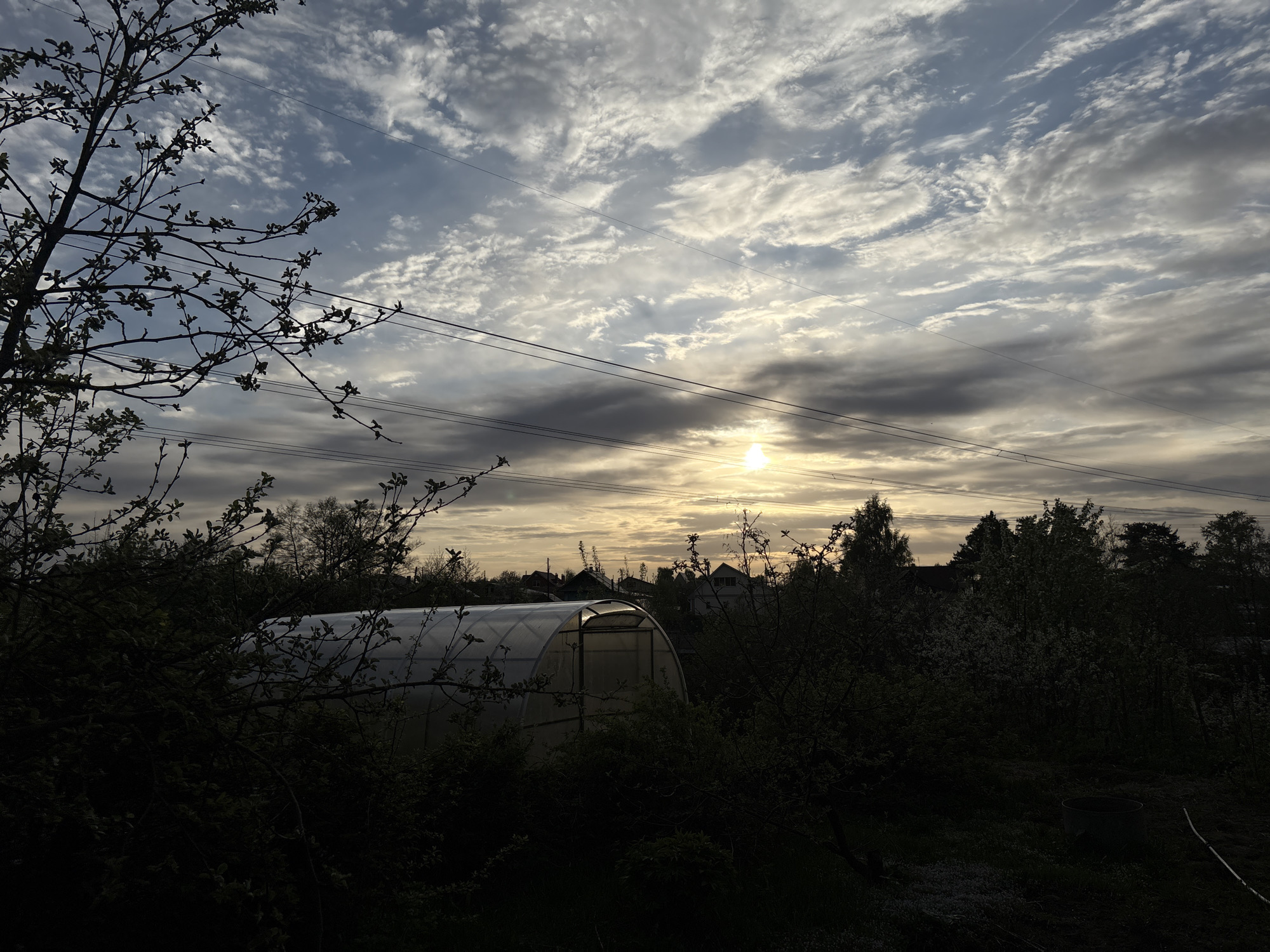 The image depicts an outdoor scene in Chaikovsky, Russia, likely taken near dusk or dawn, given the soft, diffuse sunlight visible through the clouds. The sky is filled with a mix of altocumulus and stratus clouds, creating a textured, layered effect. Overhead power lines stretch across the sky.
In the foreground and midground, dense vegetation, including trees and shrubs, dominates the view. A small greenhouse with a rounded roof is partially visible, tucked among the foliage. In the background, the silhouettes of houses and more trees can be discerned, suggesting a residential area. No people are visible. The overall mood is somewhat somber due to the muted lighting and shadowed foreground.