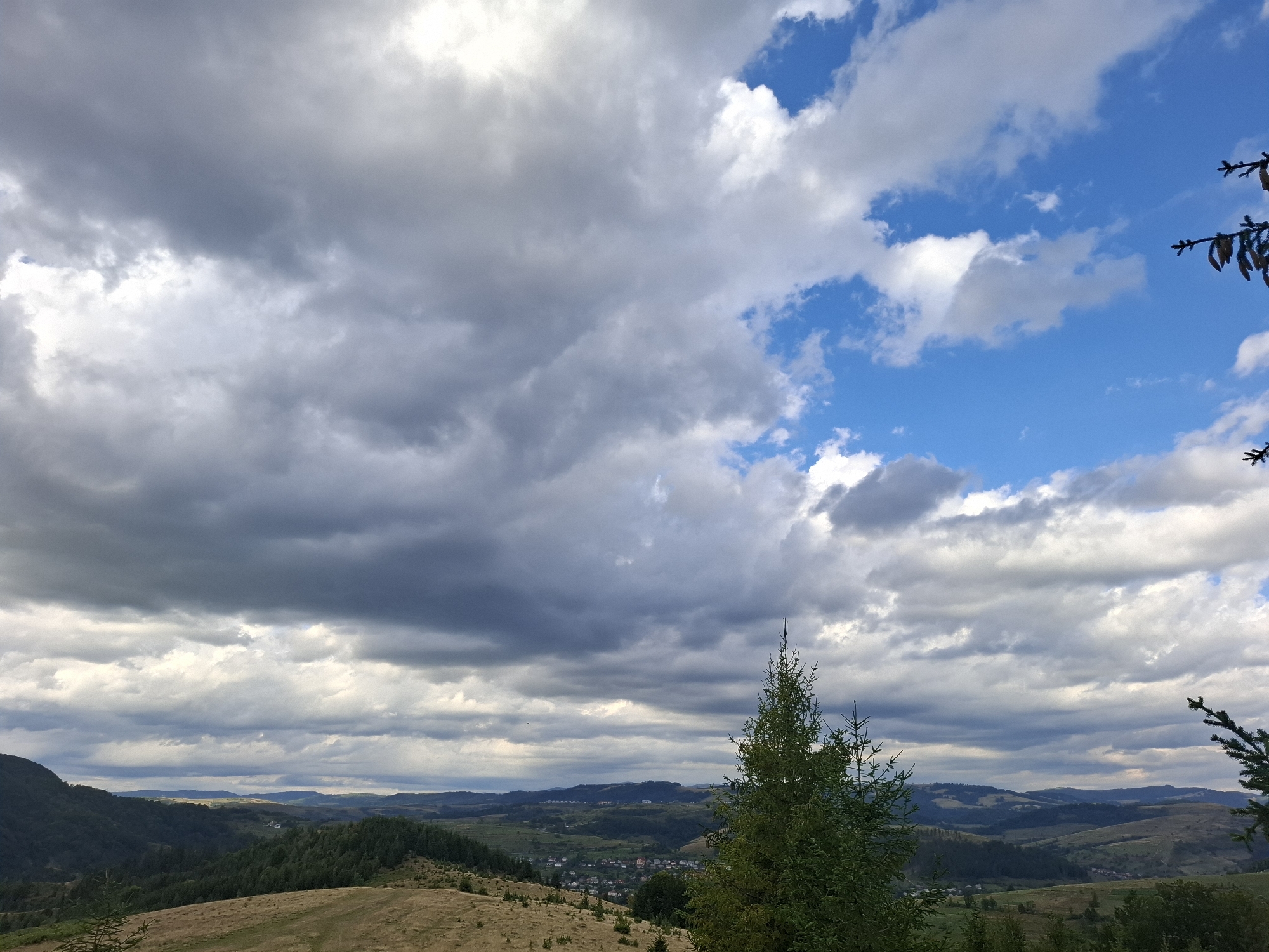 This is a wide, horizontal, eye-level shot of a cloudy sky over a rural landscape near Volovets, Ukraine. The sky takes up the top half of the image and is a mix of dark gray storm clouds and patches of bright blue sky. A tall evergreen tree is visible in the foreground on the right side of the image, with its branches extending toward the sky. The middle ground features rolling hills covered in green trees and a village nestled in a valley. The foreground consists of dry, golden grass with a few scattered evergreen saplings. The overall impression is of a dramatic, natural landscape on a day with changing weather.