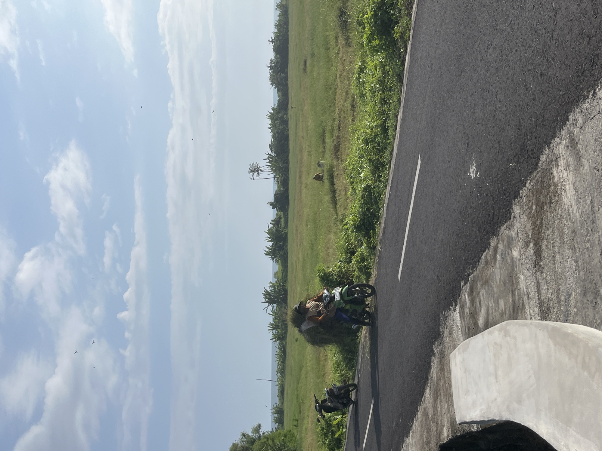 The image depicts a scene along a paved road in Kediri, Indonesia. The sky is pale blue with scattered white clouds. A grassy field stretches to the left of the road, dotted with vegetation and a few grazing animals. In the distance, a slender palm tree and glimpses of the ocean are visible. On the road, a person is riding a green motorcycle with a large bundle of hay or foliage secured behind the driver. Another parked motorcycle is adjacent to the road. A gray concrete barrier lines the edge of the road.