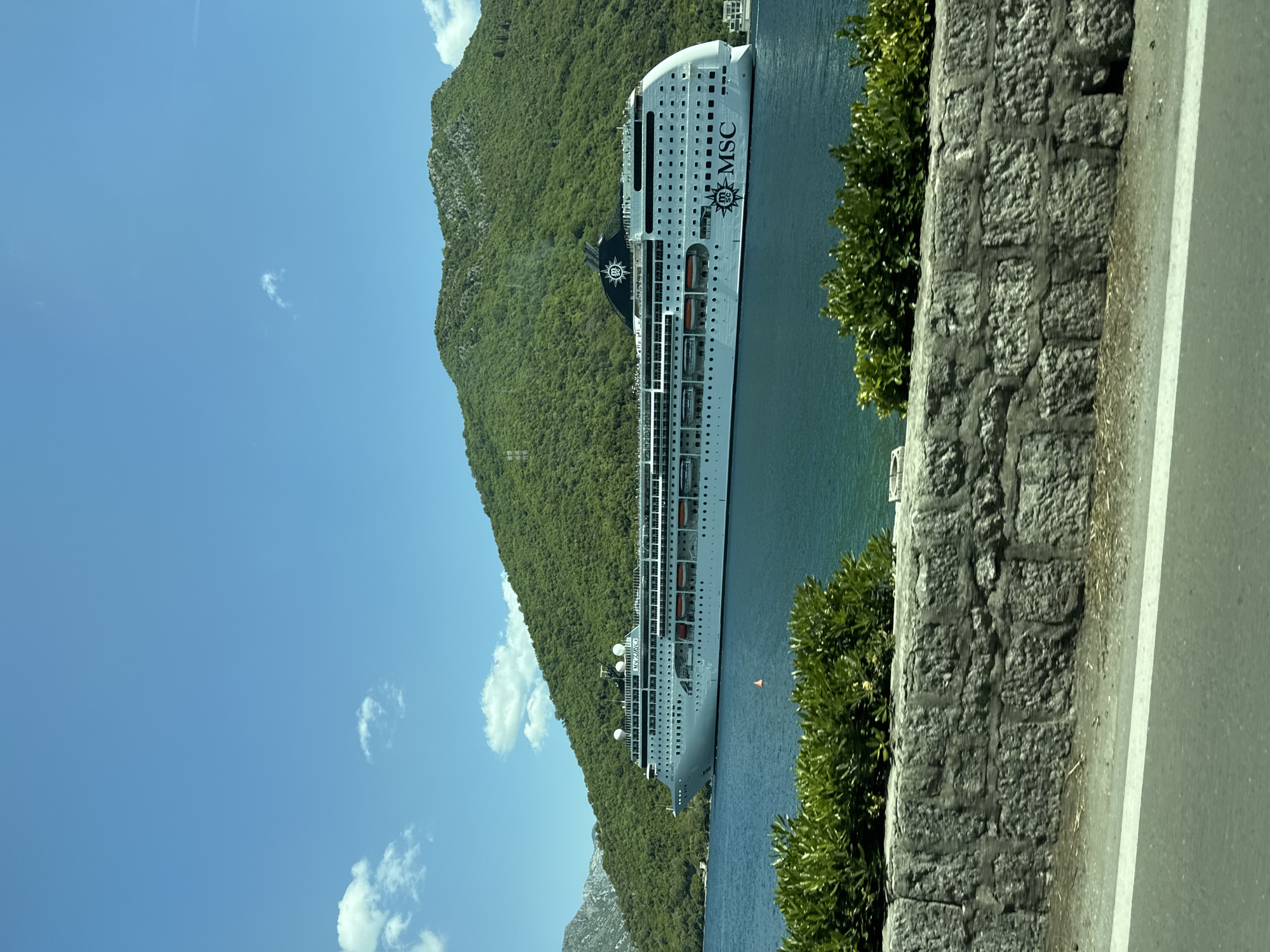 A daytime view shows an MSC cruise ship docked in what is likely the bay in or near Đurići, Montenegro. The ship is white with the MSC logo visible. Lush green mountains form the backdrop behind the ship. In the foreground, there's a stone wall topped with greenery, indicating a roadside or embankment setting. The sky is blue with scattered clouds.