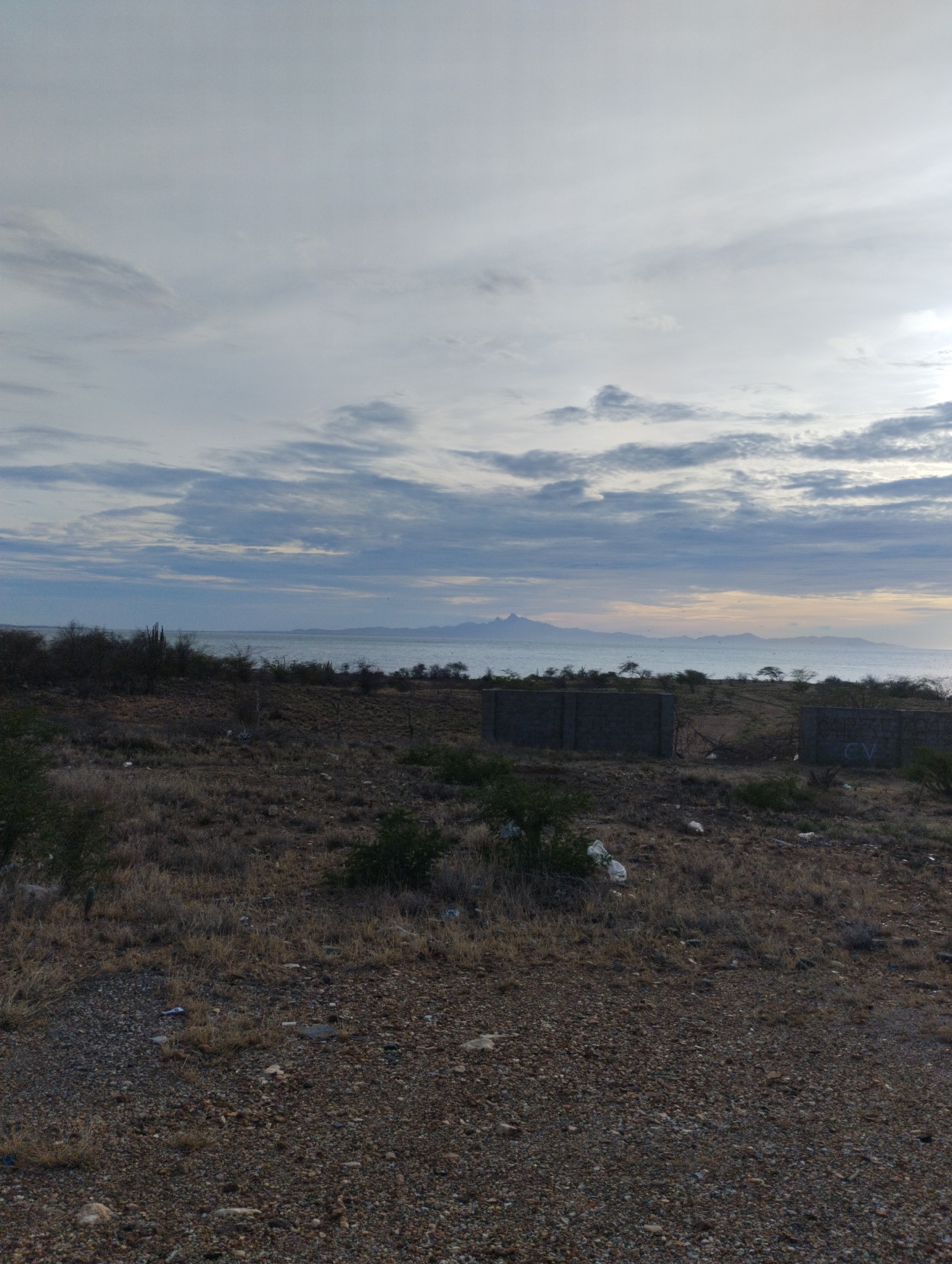 The image depicts a desolate landscape overlooking a body of water, possibly the sea or a large lake, with distant mountains visible on the horizon under a cloudy sky. The foreground is a rough, dry terrain covered in sparse, brown vegetation and small stones, with two partially constructed concrete walls visible. White plastic bags are scattered on the ground. The overall impression is one of an unfinished or abandoned construction site in a natural, arid environment. The location is identified as being in La Guaira, Venezuela, a coastal city known for its arid climate and port.