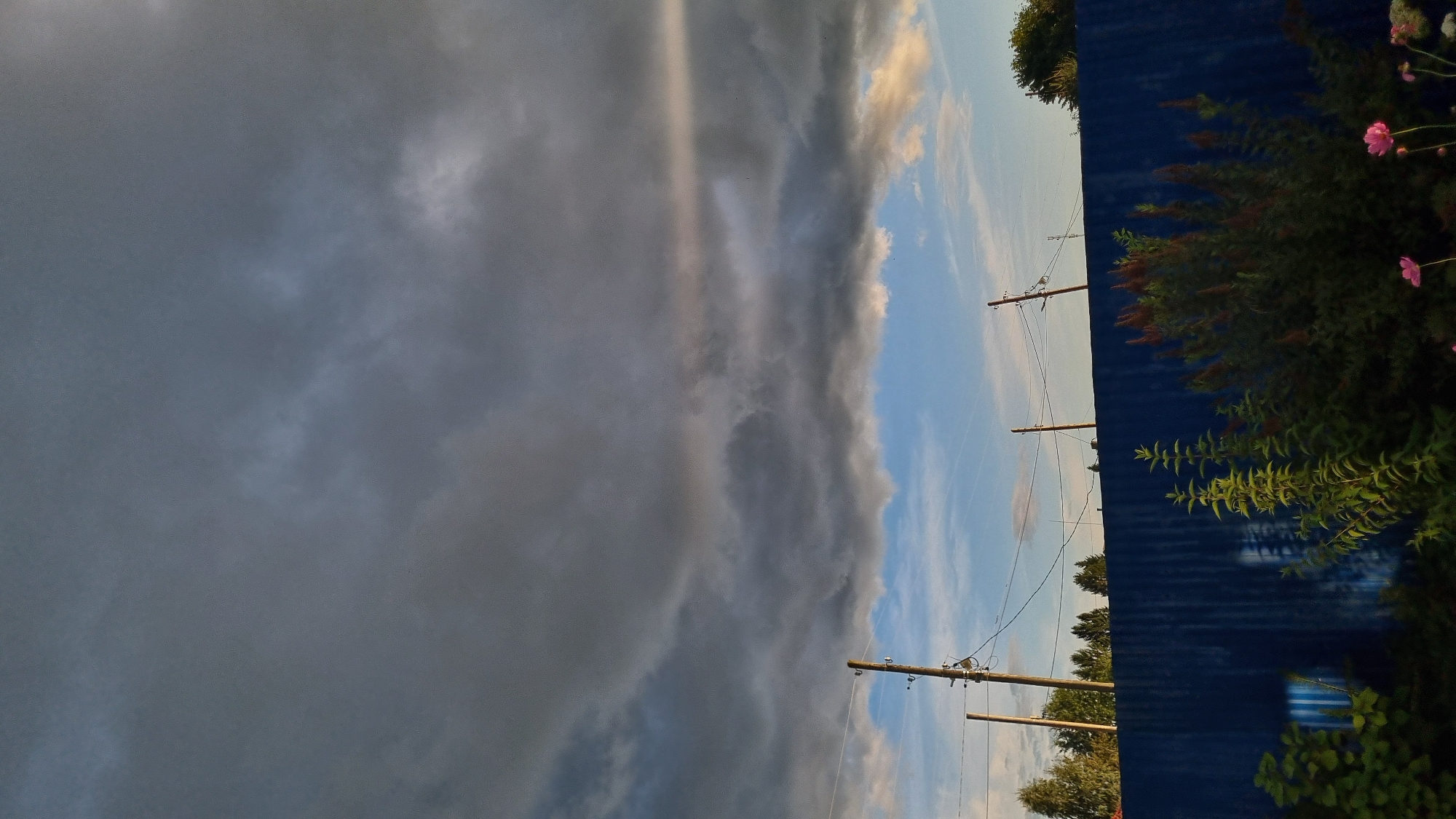 The image depicts an outdoor scene during what appears to be either dawn or dusk, characterized by dramatic cloud formations. A dark, heavy layer of clouds dominates the upper portion of the frame, with hints of lighter sky and possibly a faint rainbow visible through a break in the clouds. Below this, a band of bright blue sky is visible, dotted with smaller, lighter clouds.
In the foreground, a dark blue, corrugated metal fence stretches horizontally across the bottom third of the image. Behind the fence, on the left side, lush green foliage and plants are visible, including a tall, bushy plant with reddish-brown seed heads or flower spikes. To the right of this, several pink flowers are in bloom, adding a touch of color to the scene.
Several utility poles with wires are scattered across the mid-ground, positioned above the fence. Trees with dark green foliage form a treeline in the background, partially obscured by the fence and the utility poles. The overall impression is one of a rural or suburban setting, possibly on the outskirts of a town, with a sense of impending weather change due to the dark clouds. The location is identified as Vysokoe, Russia.
