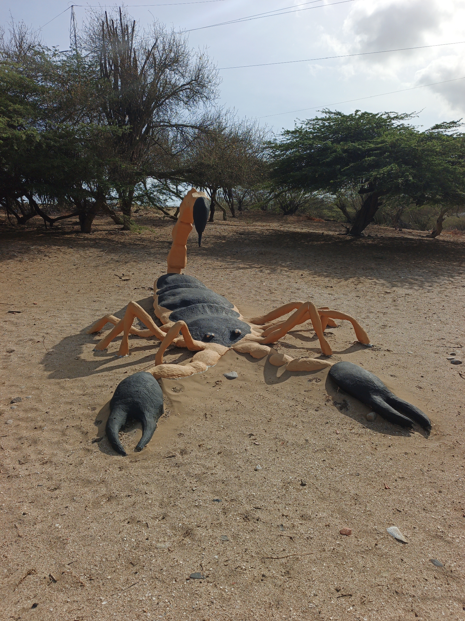 The image depicts a large, painted sculpture of a scorpion on a sandy surface. The sculpture is prominently positioned in the foreground. The scorpion's body is primarily black and orange, with its legs extended outwards. It has large, dark claws at the front and a curved tail with a stinger in the air.
The environment appears to be an outdoor, arid landscape. In the background, there are trees with sparse foliage. Overhead powerlines are visible in the sky.
While the image has stylistic elements reminiscent of the city of Coro, Venezuela, this cannot be definitively confirmed without a reference point.