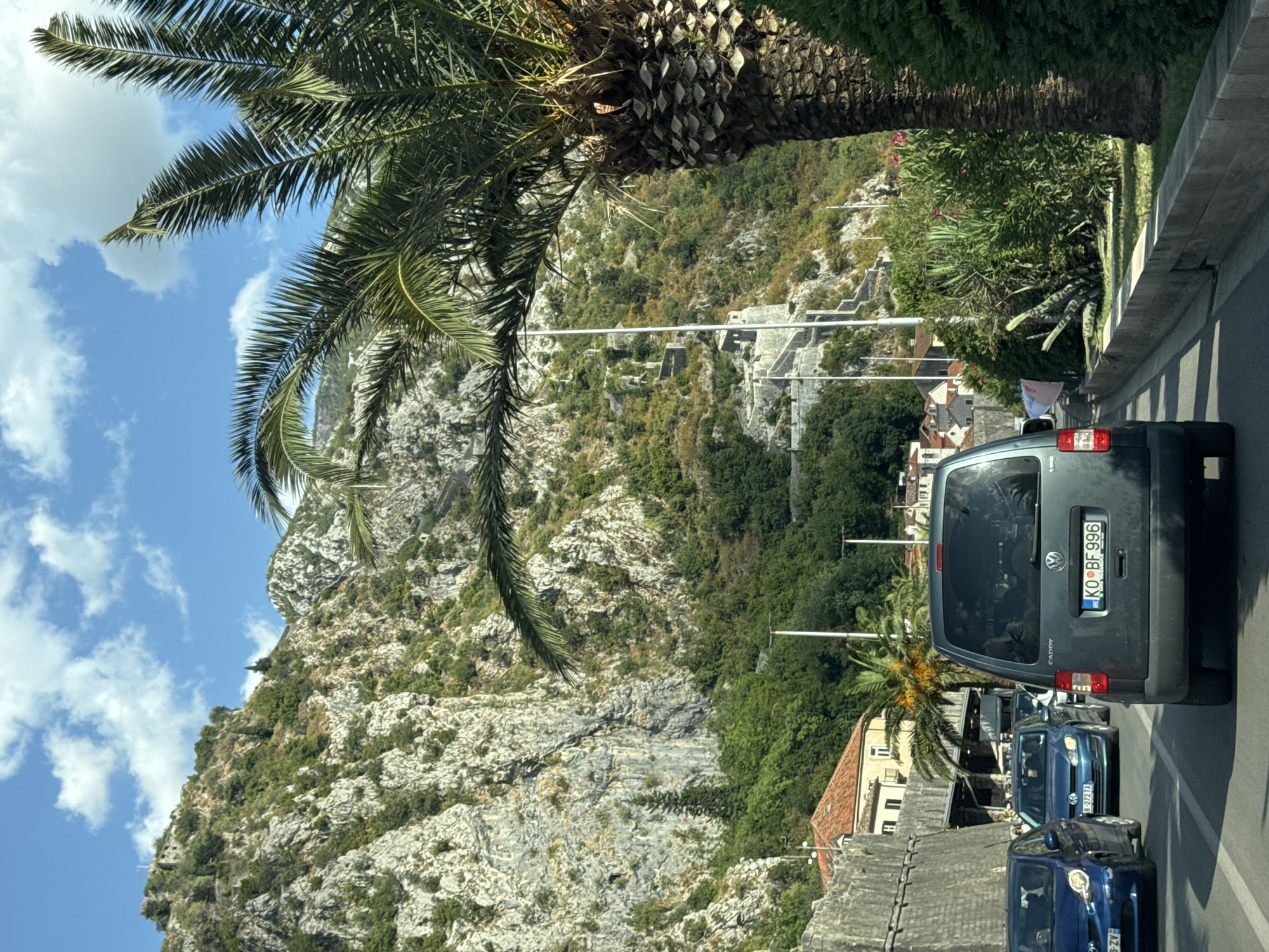 The image captures a view from a vehicle traveling on a road in Kotor, Montenegro, with steep, rocky mountains and dense green vegetation dominating the background. The mountain face features a series of stone fortifications and winding paths, indicative of an ancient defensive structure like the Fortress of San Giovanni. Several palm trees are visible, with one large one in the foreground to the right and others scattered throughout the landscape.
In the foreground, the rear of a dark green Volkswagen Caddy is prominent. The vehicle has a license plate that reads "KO BF 996". Other vehicles are also present on the road, including a blue Volkswagen Golf behind the Caddy and a blue car on the left. The road appears to be a multi-lane highway, with a concrete barrier on the left side.
Buildings with terracotta roofs are visible nestled at the base of the mountains. The sky is blue with scattered white clouds, suggesting a clear, sunny day. The scene depicts a scenic road trip through a historic coastal town, characterized by its dramatic natural landscape and ancient architecture.