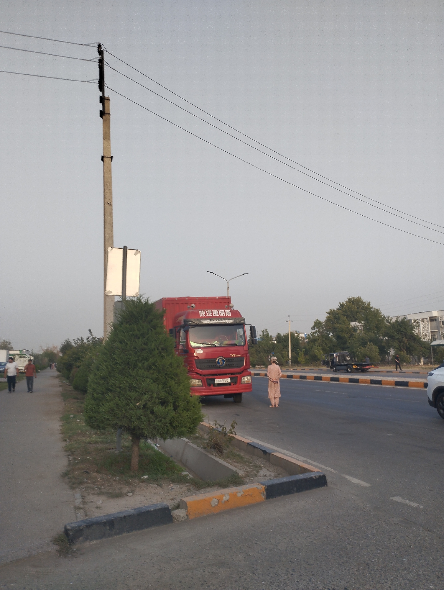 The image depicts a street scene in Dushanbe, Tajikistan, with a focus on a red truck and its surroundings. The truck, which appears to be a commercial vehicle, is parked on the right side of the road. A person, dressed in a light-colored garment, stands on the road near the truck. In the background, other vehicles and trees are visible, suggesting an urban environment. A power pole with wires stands prominently on the left side of the image, indicating the presence of electrical infrastructure. The road itself is paved, with clear lane markings and a curb. The overall atmosphere appears to be daytime, with an overcast sky.