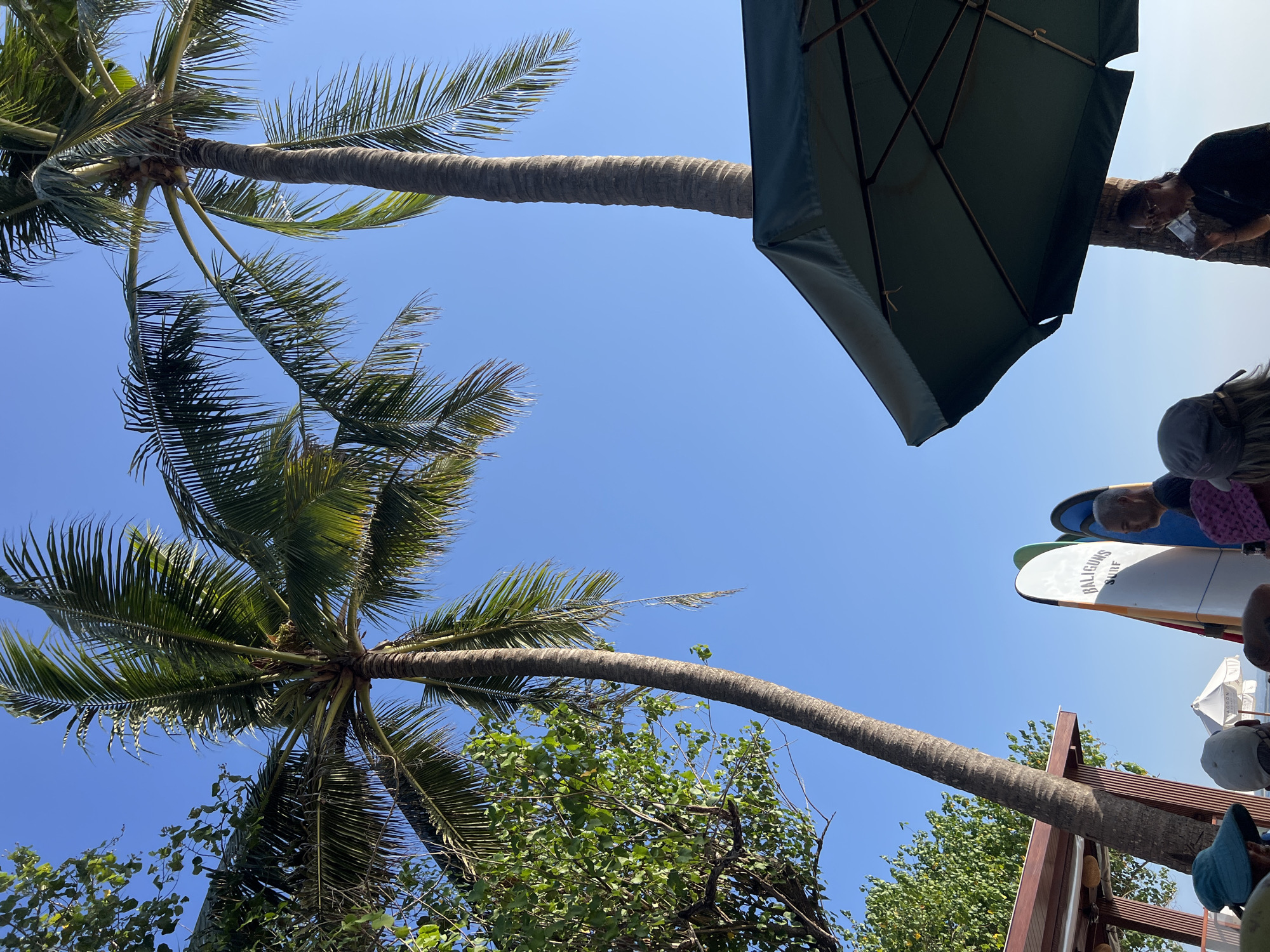 This outdoor scene, located in Kuta, Indonesia, features a clear blue sky with two prominent palm trees. In the foreground, the edge of a dark green umbrella is visible, casting a shadow. A group of people are gathered near several surfboards. One surfboard, predominantly white, has "BALIGUNS SURF" printed on it. Another surfboard next to it is blue. The people appear to be facing towards the surfboards, with some wearing hats. To the left, a portion of a structure with a reddish-brown roof and wooden supports is present, along with lush green foliage from another tree. The overall atmosphere suggests a beachside setting, possibly near a surf shop or rental.