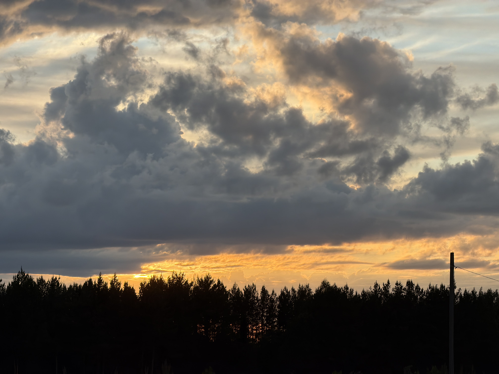 The image shows a dark forest silhouette against a sunset sky. The sky is filled with gray and white clouds, with an orange glow visible behind the trees. There is a utility pole in the lower right corner of the image. The location is Фоки, Russia, as indicated by the query.