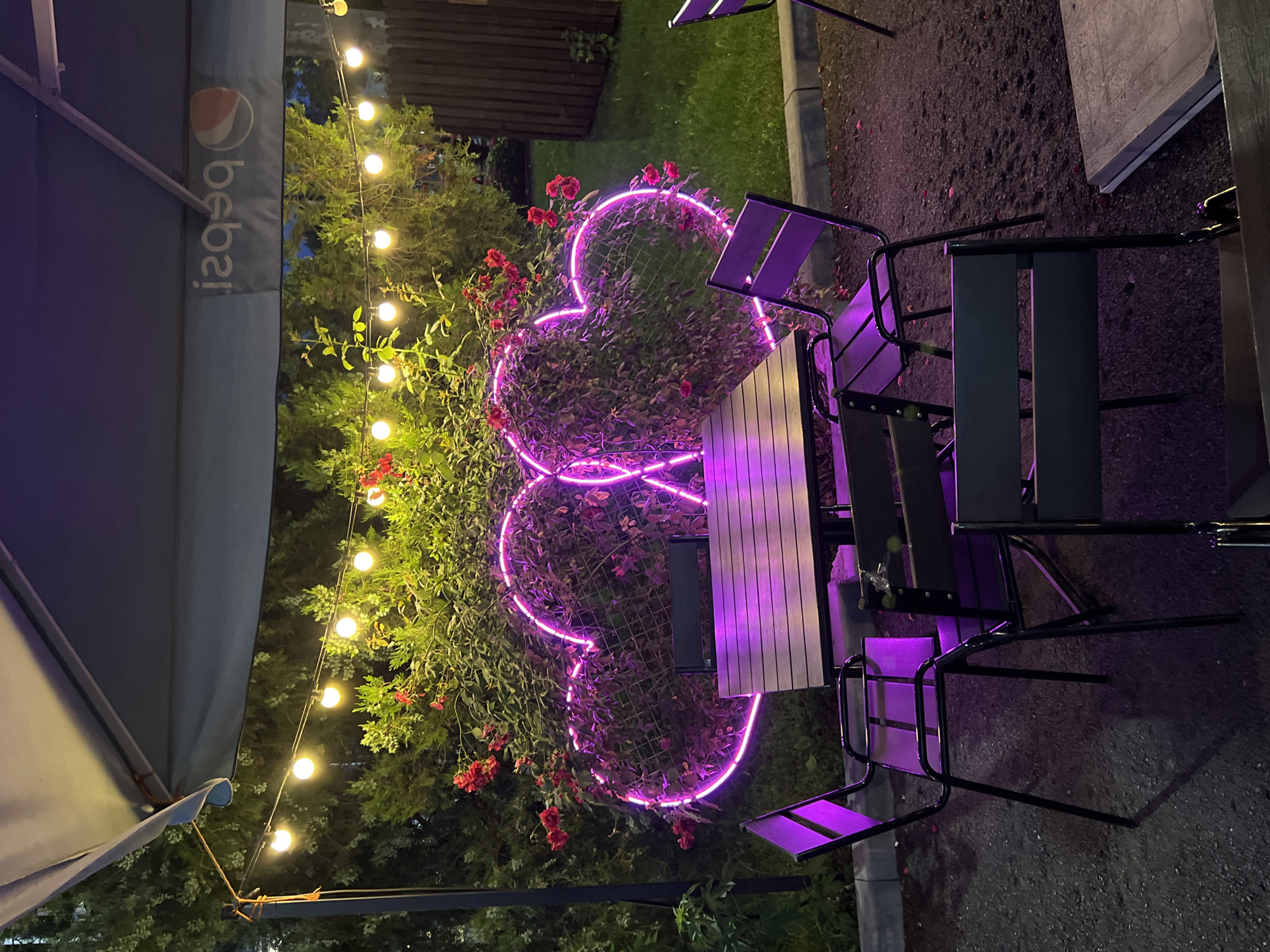 The image depicts an outdoor seating area decorated with purple heart-shaped neon lights and string lights, likely a cafe or restaurant in Krasnodar, Russia. A wooden table with four black chairs is centrally positioned, illuminated by the neon glow. In the background, a dense green hedge is adorned with red roses and the heart-shaped lights. A dark umbrella with a reversed Pepsi logo is visible above the seating area. The ground is covered in gravel, and a wooden fence is present on the right side of the image. The lighting suggests it is evening or nighttime.