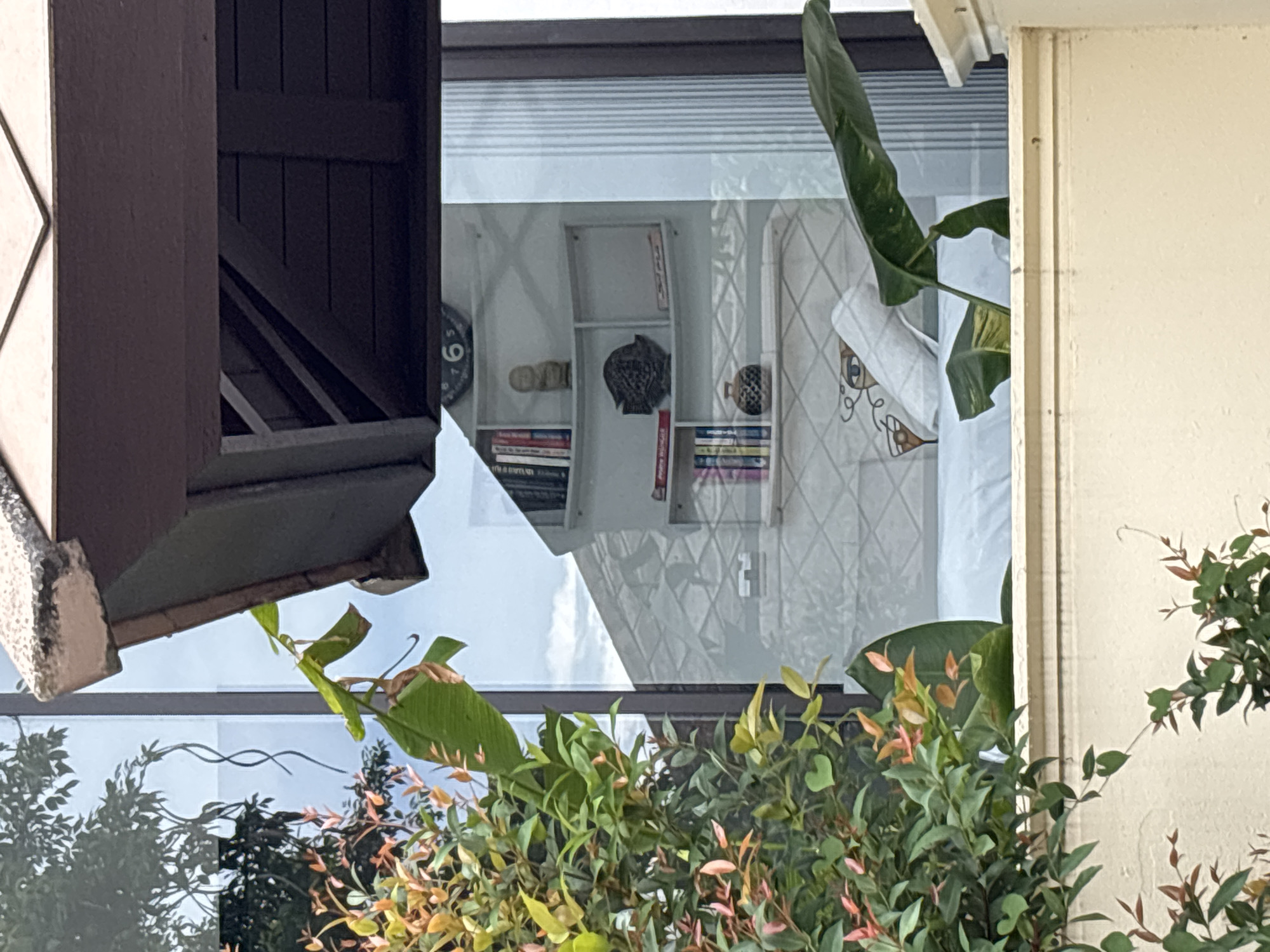 The image is a reflection in a large window, showing an interior space that appears to be a bedroom or a living area. Prominently displayed in the reflection are white shelving units filled with books and decorative objects, including a small Buddha statue and a dark, textured fish-shaped sculpture. Below the shelves, there is a white surface with a tiled pattern, and on top of this surface is a rolled-up white towel or fabric, and a decorative vase. To the right of this area, there is a large green leaf plant. The exterior of the window is framed by a brown wooden overhang and some green foliage, including a plant with reddish-orange leaves. The overall scene suggests a well-decorated indoor space viewed from outside.