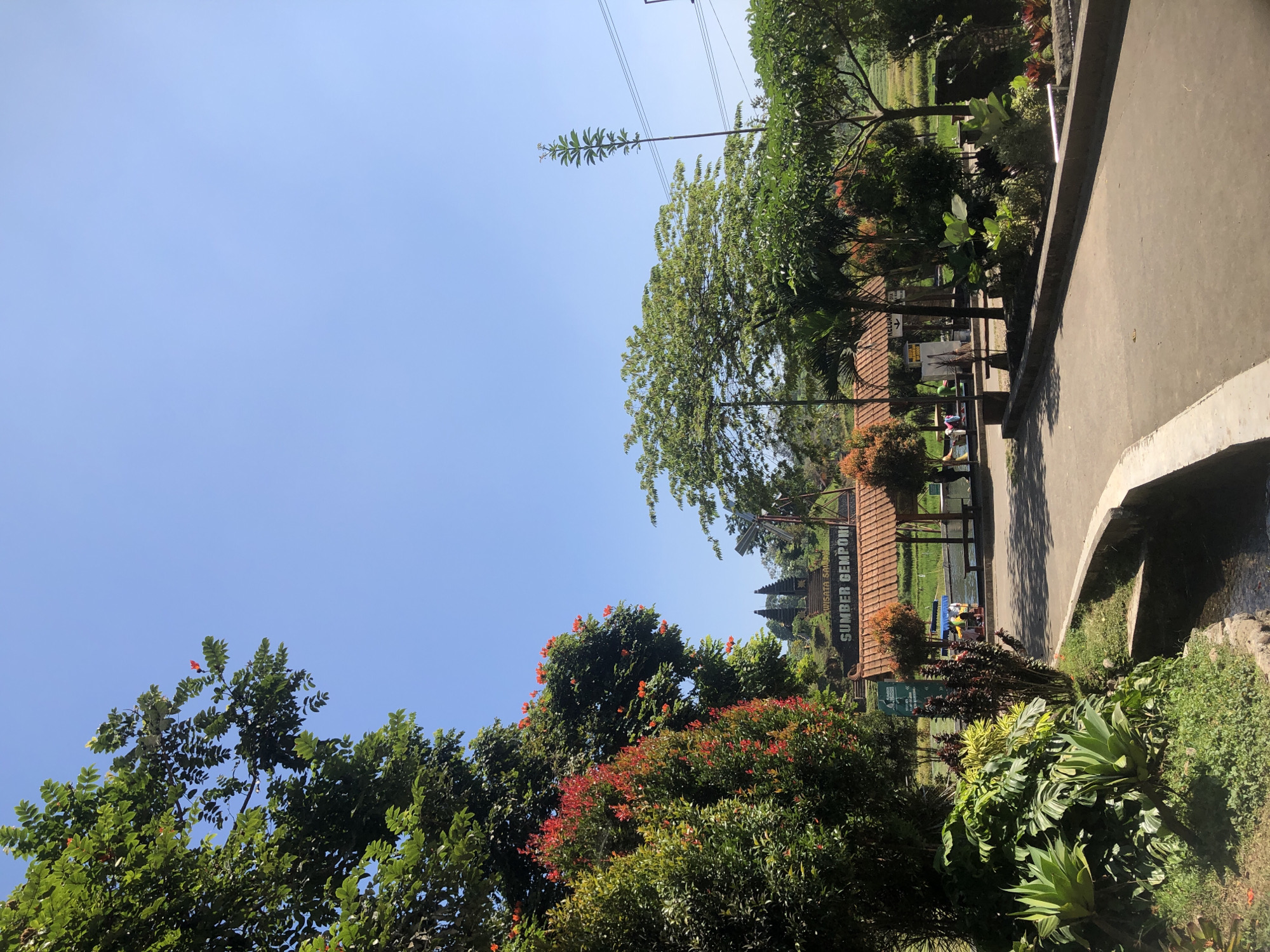 The image shows a view of a park-like area with lush greenery and a clear blue sky. In the foreground, a paved pathway curves to the right, bordered by a small concrete channel with water flowing through it. To the left of the pathway, dense vegetation includes large, leafy plants and smaller bushes with red and green foliage. Further into the scene, there is a cluster of trees, some bearing bright orange-red flowers.
In the middle ground, a series of red-tiled roof structures are visible, suggesting a recreational area or facilities. A sign with the words "SUMBER GEMPONI" and "WISATA SAWAH" is prominent. Beyond these structures, a body of water is present, with a boat on it. In the background, more trees are scattered, and in the distance, a traditional gate-like structure with two tall pillars can be seen. A windmill is also visible to the right of this structure. The overall impression is a scenic and well-maintained outdoor location. The location is identified as Sumber Gemponi in Tretes, Indonesia, known for its rice paddy tourism.