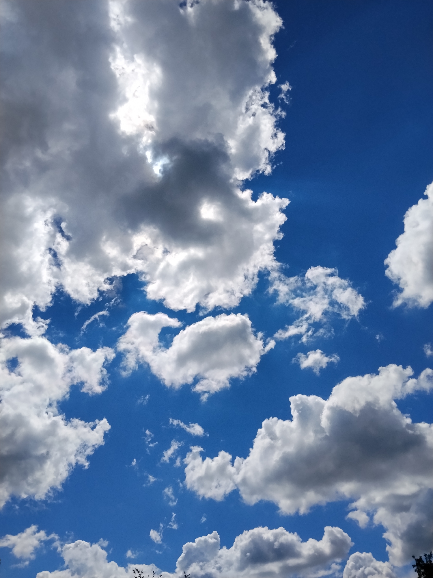 The image depicts a bright blue sky scattered with numerous white and grey cumulus clouds. Sunlight is visible piercing through a gap in a large cloud formation near the top left of the frame. A few tree tops are visible at the very bottom of the image.
There are no people or specific objects to suggest this photo was taken in Ustyvytsia, Ukraine.