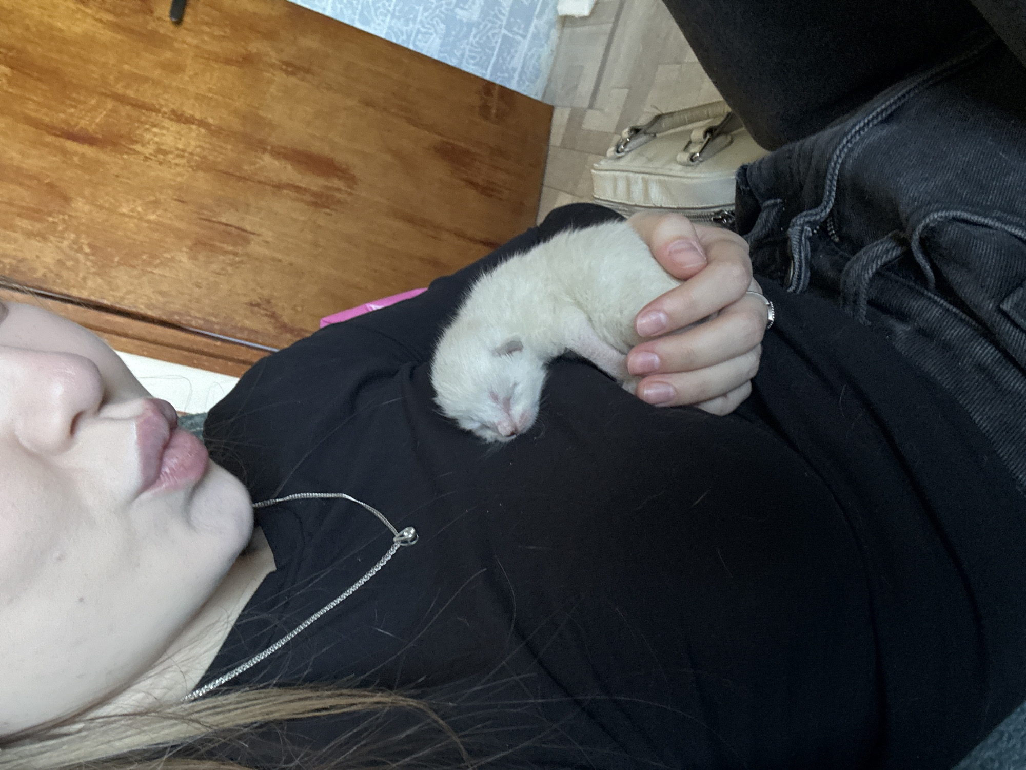 A white kitten is sleeping in the cupped hands of a person wearing a black top and dark jeans. The person's face is visible, with fair skin and pink lips. They are wearing a silver necklace. In the background, there is a wooden surface and part of a white bag with silver hardware. The environment is indoors. There is no evidence to suggest the location is in the city of Фоки, Russia.