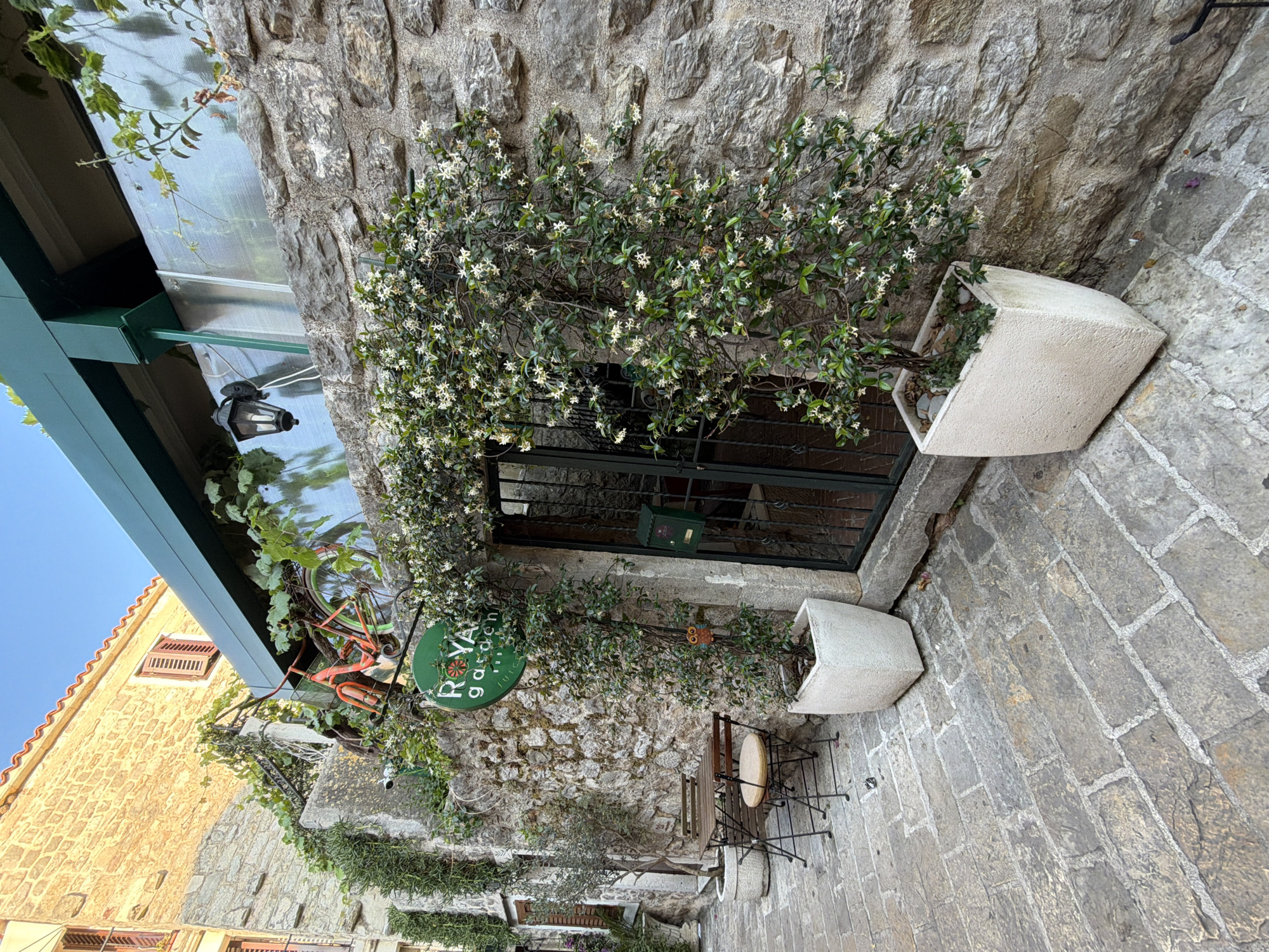 The image captures a charming narrow alleyway in the Old Town of Budva, Montenegro, characterized by its cobblestone paving and weathered stone buildings. To the left, a building constructed with large, irregular stone blocks features an upper floor with a yellow stone facade and wooden shutters. A few potted plants, including a small olive tree, are positioned along the walkway.
Dominating the center and right of the frame is a stone wall that serves as the backdrop for a green metal gate, partially obscured by climbing plants. Above the gate, a sign with a green circular background and white lettering reads "ROYAL GARDEN JUICE BAR". A decorative orange bicycle is mounted on the wall above and to the left of the sign, entangled with greenery. Adjacent to the gate, on the right side, is a large white planter containing a flowering vine.
On the left side of the image, near the gate, a small table and two chairs are set up, suggesting an outdoor seating area. A black wall-mounted lamp is visible on the upper section of the stone wall, near the right edge of the image. The overall scene evokes a tranquil and picturesque atmosphere, typical of historic European towns.