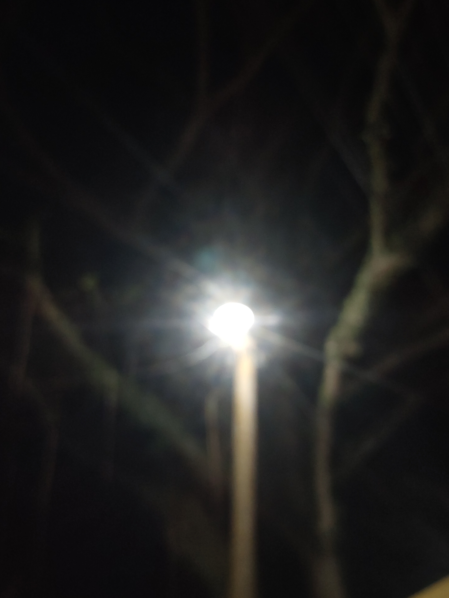 A blurred image captures a street lamp at night, its bright light casting rays that distort the surrounding dark environment. Branches of trees are faintly visible, silhouetted against the night sky, with some appearing to be near the lamp post. The overall impression is one of a dimly lit outdoor area, possibly a street or park in Keudematangkuli, Indonesia. There are no people or distinct objects identifiable due to the lack of focus.