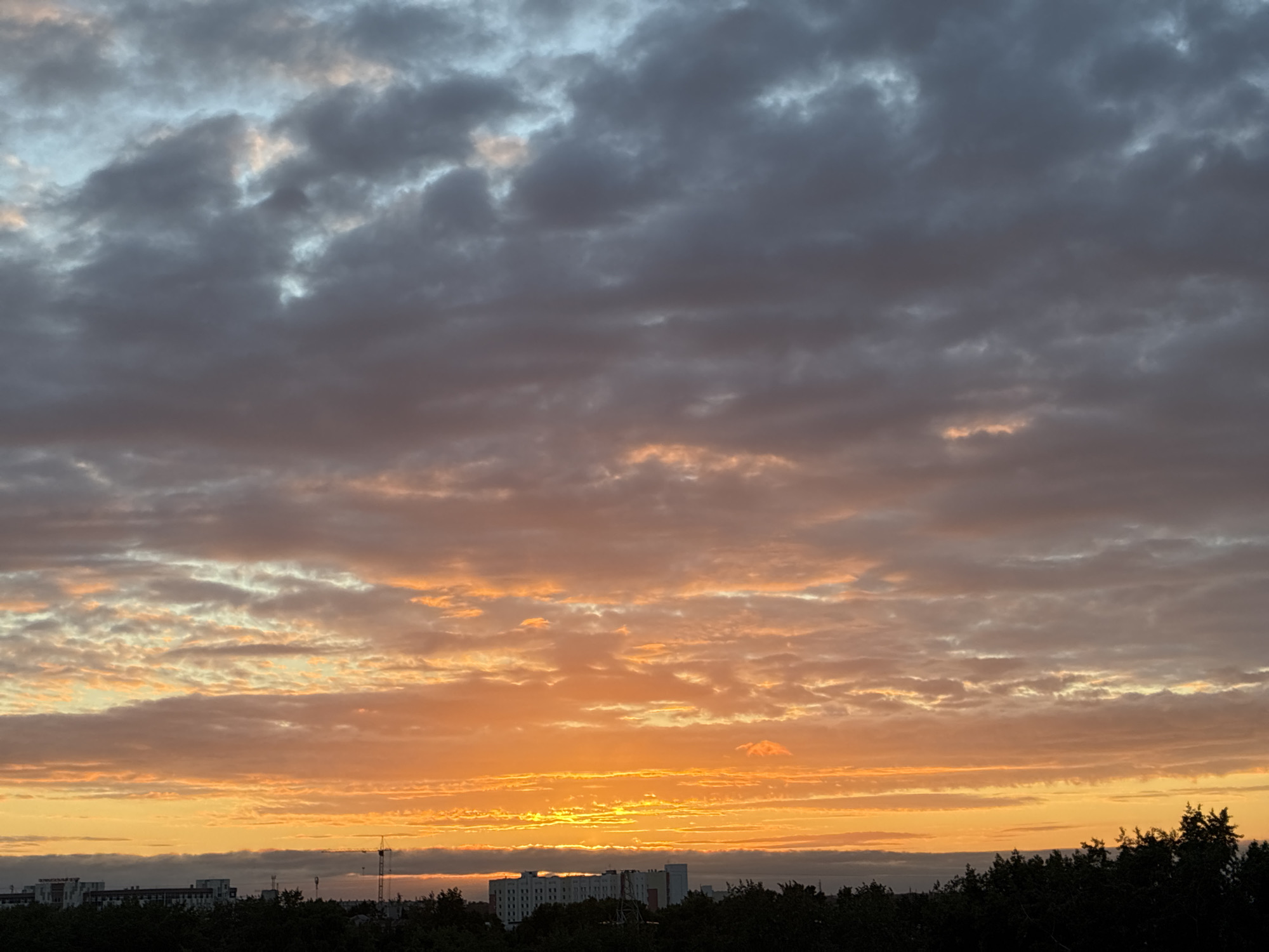 A low-angle shot captures a vibrant sunset over a city skyline. The sky is dominated by a dramatic display of clouds, with streaks of orange, yellow, and pink illuminating the lower half, transitioning to darker grays and blues in the upper half. The sun, a bright yellow band, is visible near the horizon, casting a warm glow. Below the sky, the silhouette of a city stretches across the frame, featuring dark trees in the foreground. Several buildings, including some with white facades and windows, are visible in the mid-ground, along with what appears to be a construction crane. The overall impression is one of a breathtaking natural spectacle occurring at dusk.