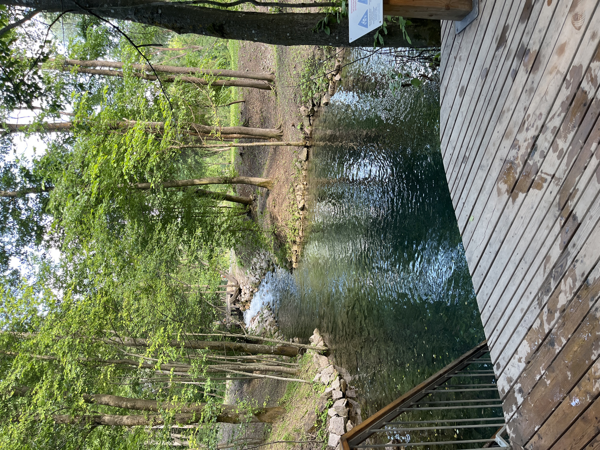 The image depicts a natural spring located in Kazan, Russia, within the "Chatyr Tau" nature reserve. The scene is dominated by a clear, turquoise spring pool surrounded by lush green trees and vegetation. A wooden deck with a metal railing leads down to the water's edge, suggesting a recreational area. The water is calm and reflects the surrounding foliage, with a small stream flowing into the pool in the background. The atmosphere is serene and untouched, emphasizing the natural beauty of the location.