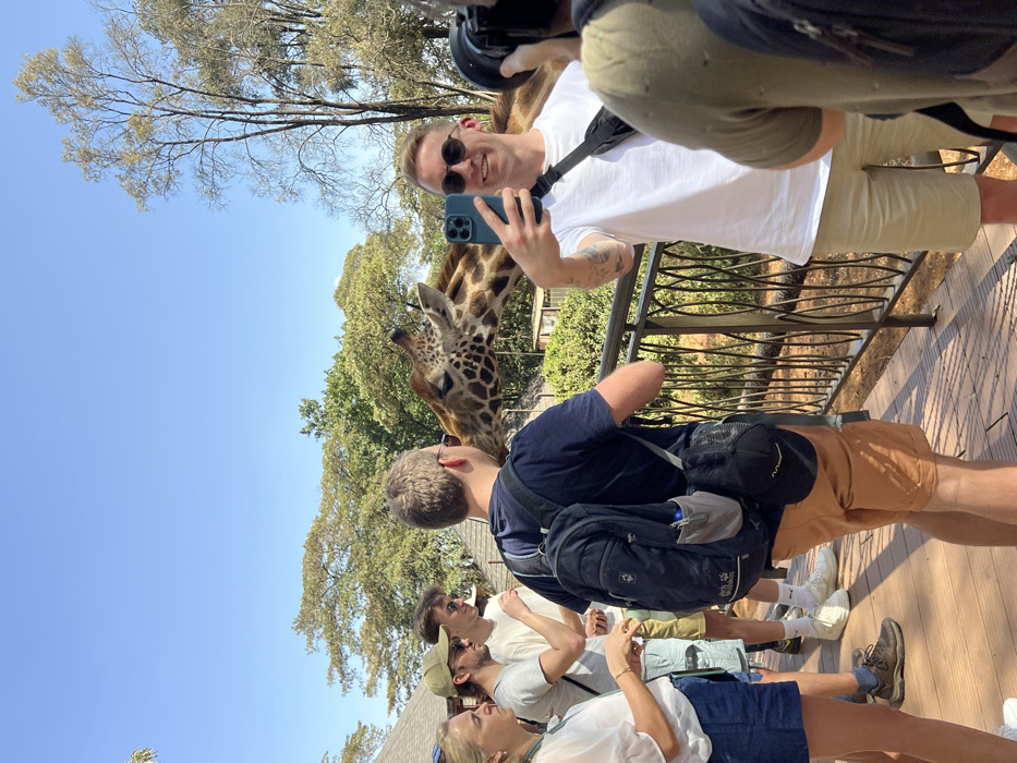 The image depicts a bright, sunny outdoor scene at the Giraffe Centre in Nairobi, Kenya, where multiple individuals are interacting with a giraffe on an elevated wooden viewing platform.
In the foreground, a group of six individuals is present. From left to right: a woman with blonde hair wearing a white top and blue shorts, partially visible; two men in white t-shirts and shorts, one wearing a khaki cap and the other sunglasses, both appearing to hold small items to their mouths; a man with his back to the viewer, wearing a dark blue t-shirt, orange-brown shorts, and a dark blue backpack, positioned with his head near the giraffe's snout, likely engaged in feeding or close contact. To his right, another man, facing the viewer, wears sunglasses, a white t-shirt, and khaki shorts, holding a blue-cased smartphone to take a selfie or video with the giraffe in the background; tattoos are visible on his left arm. Partially visible on the far right, a person's back is shown, wearing an olive-green shirt and holding a camera with a large lens, pointing towards the central interaction.
A Rothschild's giraffe is prominently featured, extending its head and neck over a black metal railing with decorative oval patterns, positioned directly in front of the man with the backpack and behind the man taking a selfie. Its patterned hide is clearly visible.
The environment includes a clear blue sky overhead and a dense canopy of green trees in the background, with some bare tree trunks visible on the right. A small building with a dark roof is partially discernible behind the trees on the left. The group stands on a wooden planked platform, elevated above the ground where the giraffe stands. Bright sunlight illuminates the scene.