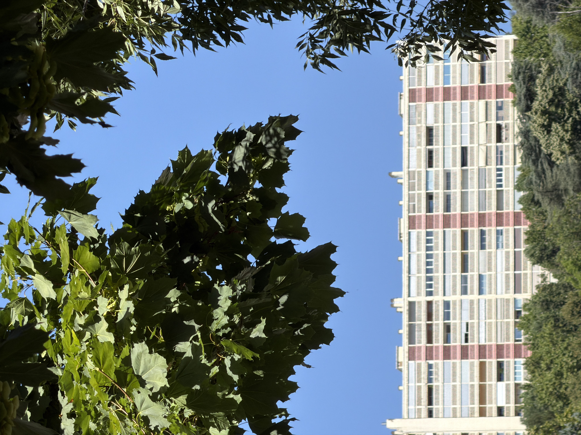 The image shows a multi-story apartment building in Lyon, France, viewed from below through the branches of trees. The building is light-colored with a repeating pattern of balconies and windows. It has alternating vertical bands of pink and white on its facade, and the balconies are lined with white railings. The sky is a clear, bright blue. The trees in the foreground are lush and green, with large leaves that partially obscure the view of the building and sky. The scene suggests a sunny day in an urban environment with significant green space.
