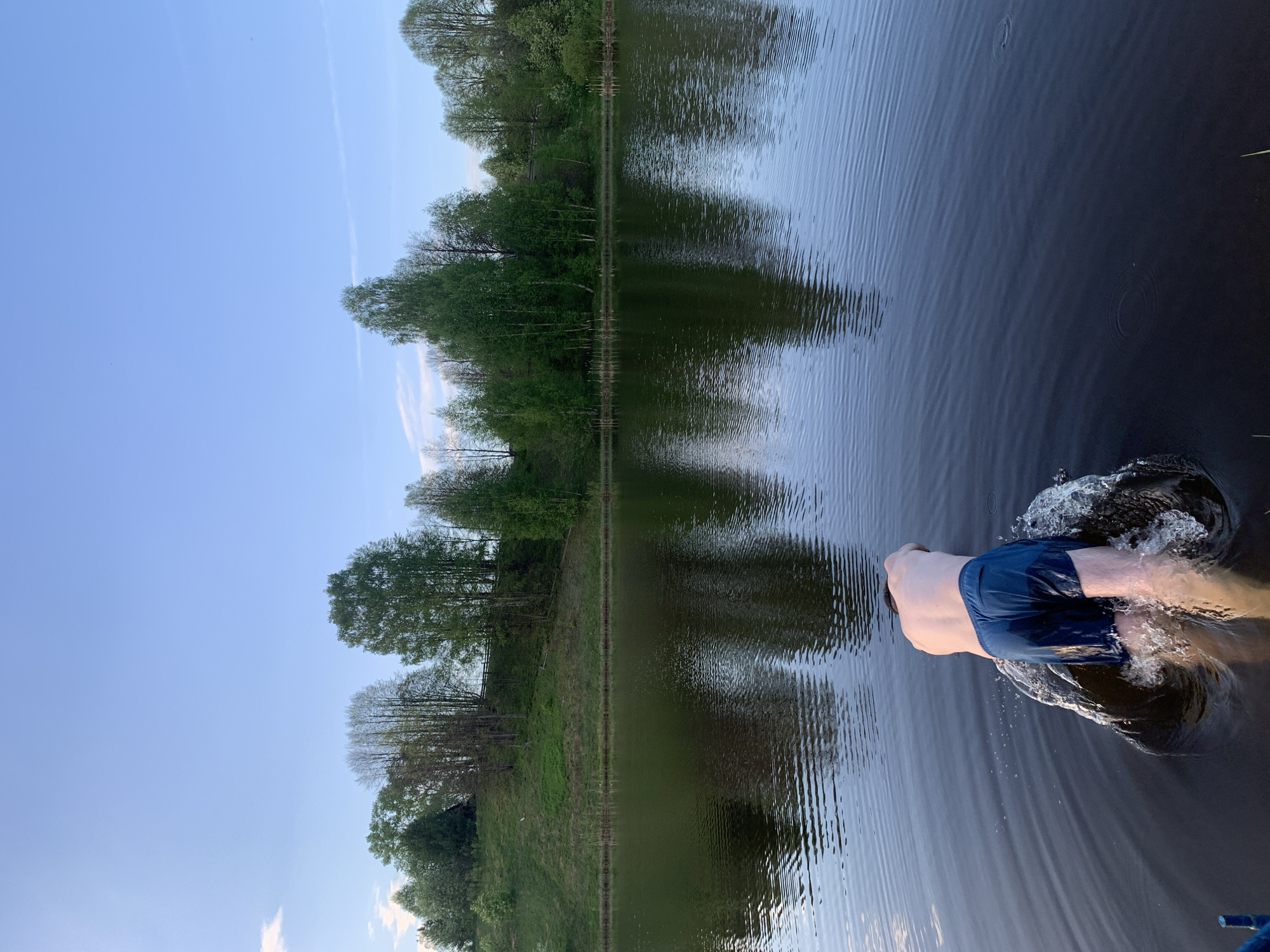 A person in dark blue swimming trunks is immersed in water. The scene appears to be a lake or pond surrounded by trees, possibly in Zasechnyi, Russia. The water is dark with ripples and splashes around the person. The sky is light blue.