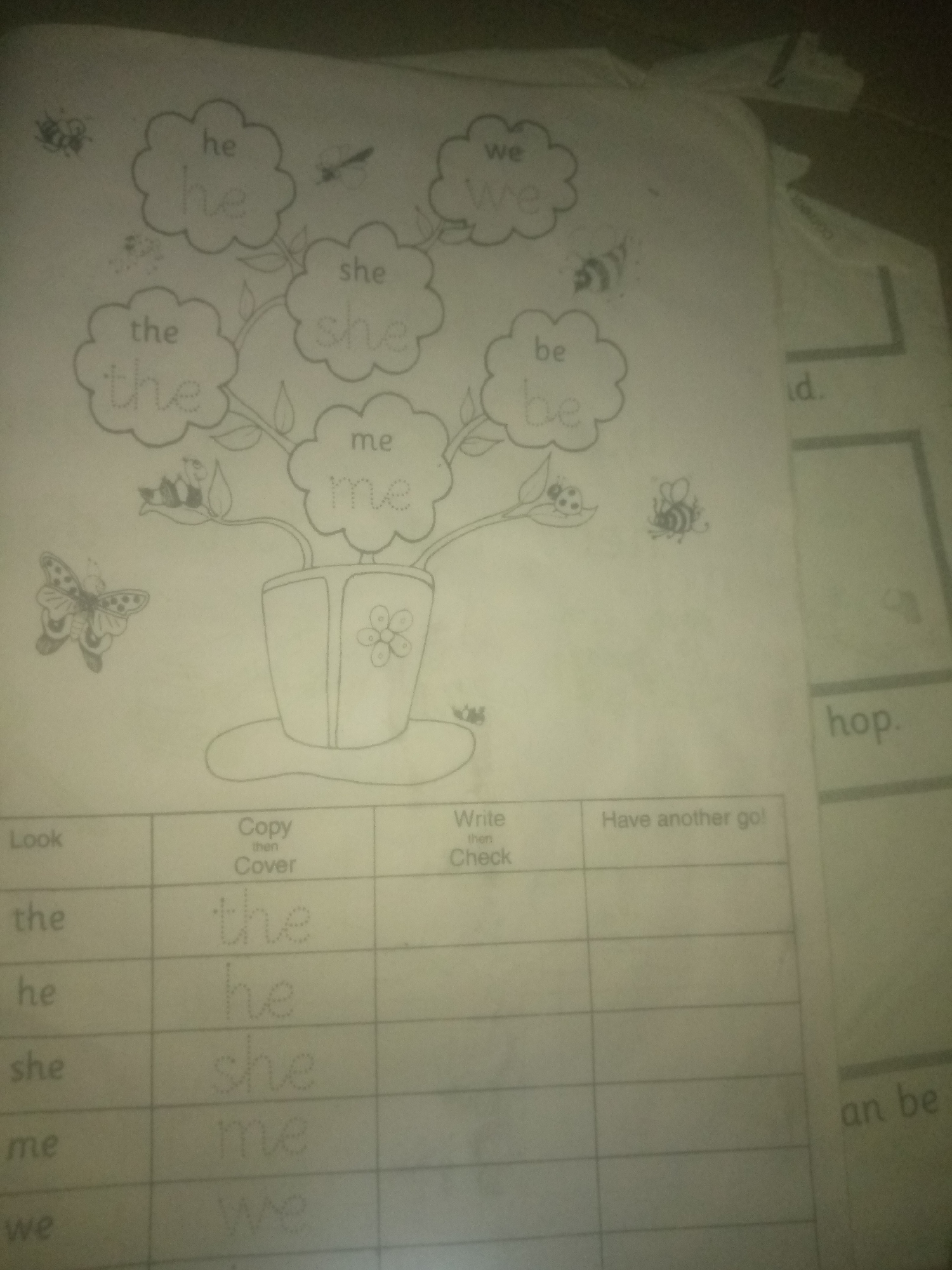 The image depicts a page from a children's educational worksheet, focusing on sight words. The worksheet is organized into a grid format with columns labeled "Look," "Copy then Cover," "Write then Check," and "Have another go!". The "Look" column features a drawing of a potted plant with "clouds" or "bubbles" emanating from it, each containing a sight word. These words include "he," "she," "the," "we," "be," and "me." Beneath the "Look" column, these same words are listed, with a blank space next to each for the child to write them in the other columns. In the upper portion of the worksheet, there are illustrations of insects, including bees and a ladybug, as well as a butterfly. The overall aesthetic suggests a playful and engaging learning environment for young children. There is no information in the image that relates to the city of Jauro Yinu, Nigeria.