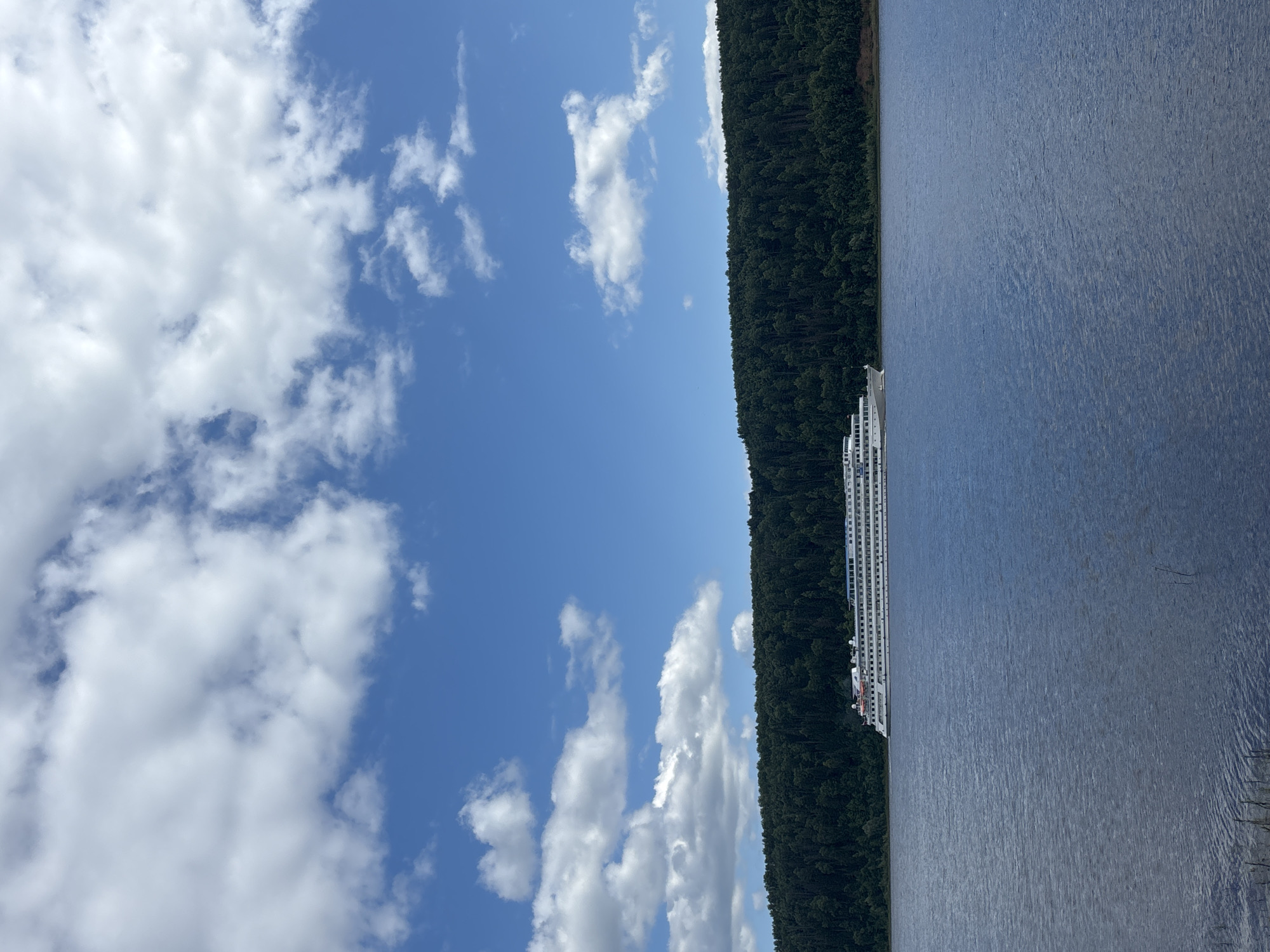 A white cruise ship with multiple decks and red accents is sailing on a wide, calm river. The river is bordered by a dense, dark green forest that covers a hillside. The sky above is a bright blue with scattered white clouds. The scene appears to be the Volga River in or near Ol'khovskoye, Russia, given the characteristic landscape.