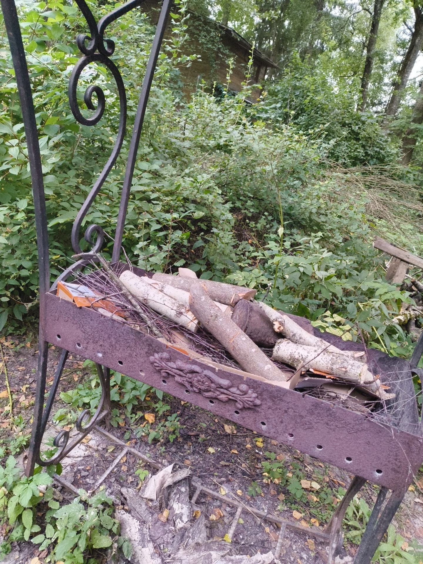 A rusty metal barbecue grill, filled with logs and kindling, sits outdoors amidst dense green foliage. The grill is supported by a decorative wrought-iron stand. The surrounding area is covered with dry leaves and a few patches of green ground cover. In the background, the edge of a wooden building and trees are visible, suggesting a rural or suburban setting. The image appears to be taken in Правдист-1 Снт, Russia.