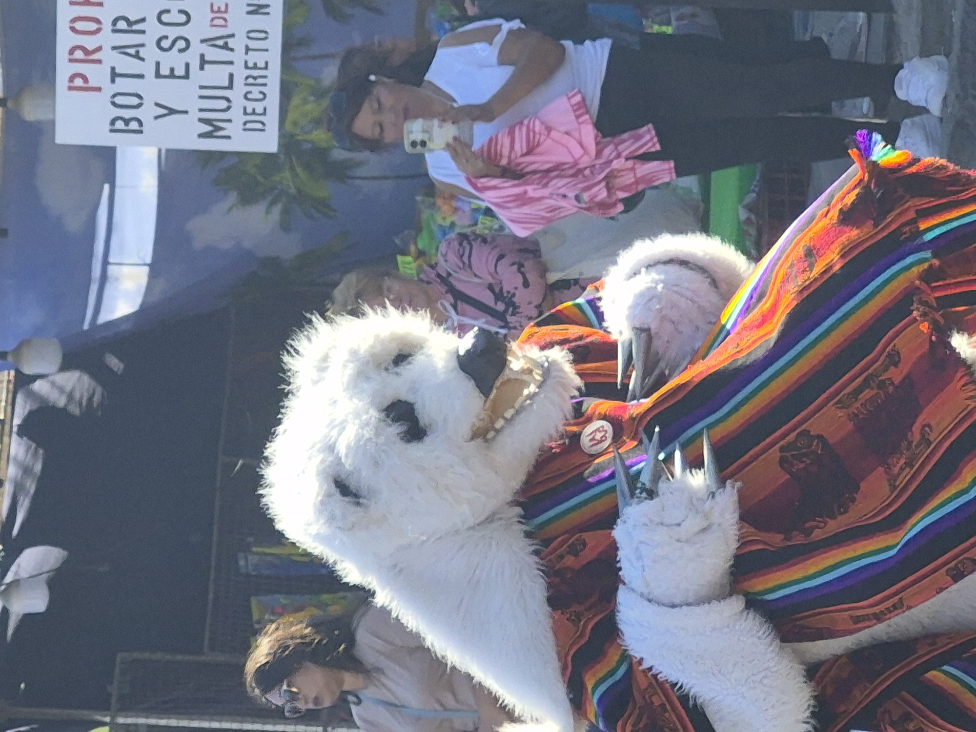 An individual in a white polar bear costume with sharp claws and a colorful, striped poncho stands on a street in Arica, Chile, holding a sign. The costume features a large, furry head with dark eye patches and a gaping mouth revealing yellowed teeth. The poncho is adorned with vibrant stripes of red, orange, yellow, green, blue, and purple, over a darker fabric with an animal print.
In the background, several people are visible. To the left, a woman wearing sunglasses and a light-colored top stands looking towards the left. Behind the polar bear, a woman in a pink patterned jacket is looking down, holding a white object, possibly a bag. To the right, a woman in a white top with cut-out sleeves and dark pants is holding a smartphone and looking at it. She is also holding a folded pink garment.
A white sign with red lettering is mounted on a pole in the upper right portion of the image. The visible text on the sign reads, "PROP BOTAR Y ESC MULTADE DECRETO N". The street appears to be outdoors, with a sunny environment, suggesting it is daytime. The presence of a costumed performer and onlookers indicates a public gathering or event.