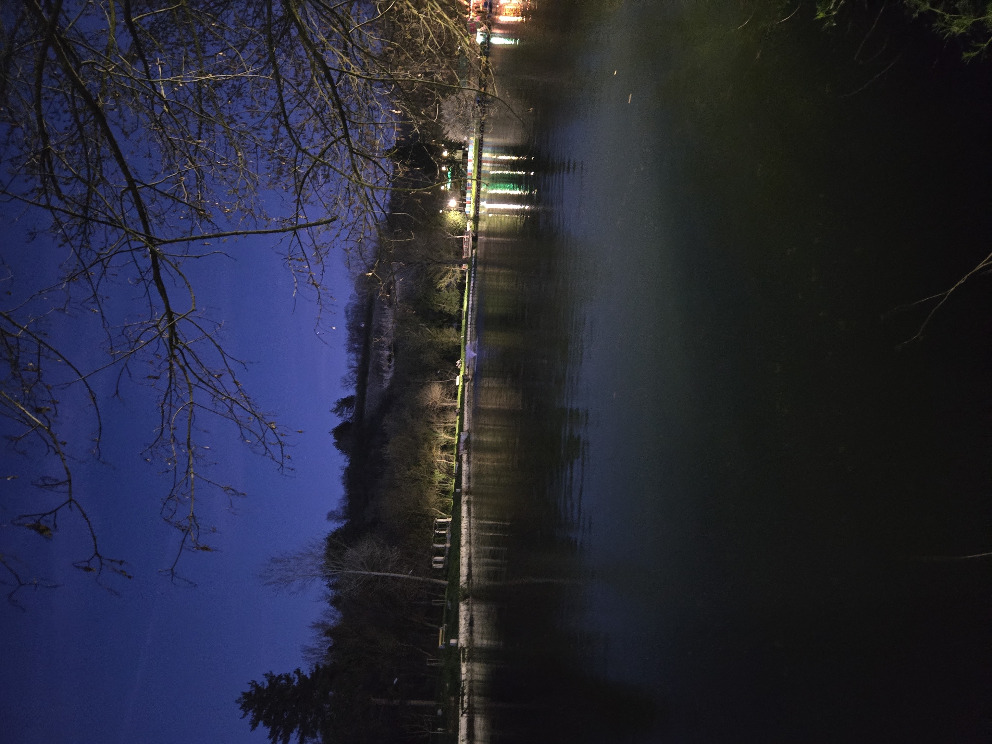 Here is a detailed description of the image:
**Scene:** The image depicts a dark, nighttime view of a body of water reflecting lights from structures on the opposite bank.
**Environment:** The environment is dark. The water appears calm. Trees are visible along the shoreline.
**Objects:** The water reflects several lines of light, probably from buildings or installations with lights. Bare tree branches are visible against the night sky on the left side of the image.
**Location:** The city and location are unknown.