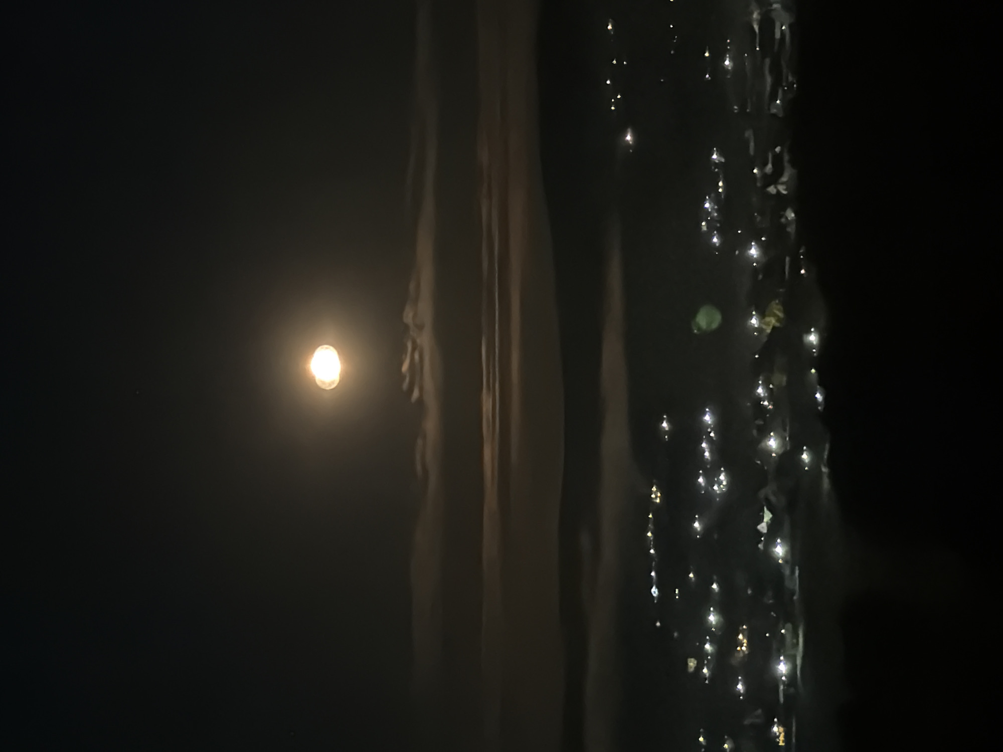 The image shows a dimly lit outdoor scene. A bright light source is visible on the left side of the frame, illuminating a collection of vertical structures, possibly columns or tree trunks, in the center. To the right of these structures is a string of lights hanging vertically. The background is dark, suggesting a nighttime setting. There are no people visible. The location in the city of Shamoni, Russia, is not determinable from the visual information.