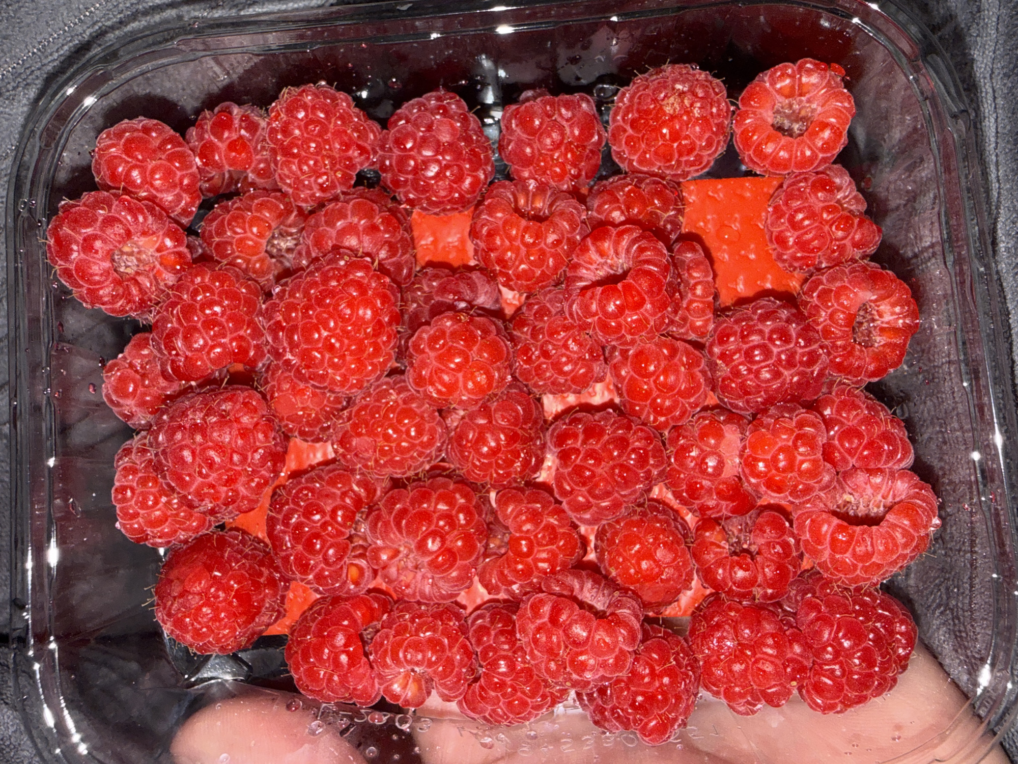 The image shows a close-up, top-down view of a clear plastic container filled with ripe raspberries. The raspberries are predominantly red, with some variations in shade and ripeness. They are clustered together, with many individual drupelets clearly visible on each berry. Some raspberries have small water droplets on their surface. The container itself is transparent, allowing a view of the textured red paper liner at the bottom. The background is dark and somewhat out of focus, with hints of a textured grey surface, possibly fabric. A portion of a person's hand and fingers, appearing pale pink, is visible on the left side of the image, with some condensation or water droplets on the plastic container near the hand. The lighting appears to be artificial, creating highlights and shadows on the berries and the container. There is no discernible information within the image that would allow for the identification of a specific location in Varna, Bulgaria.