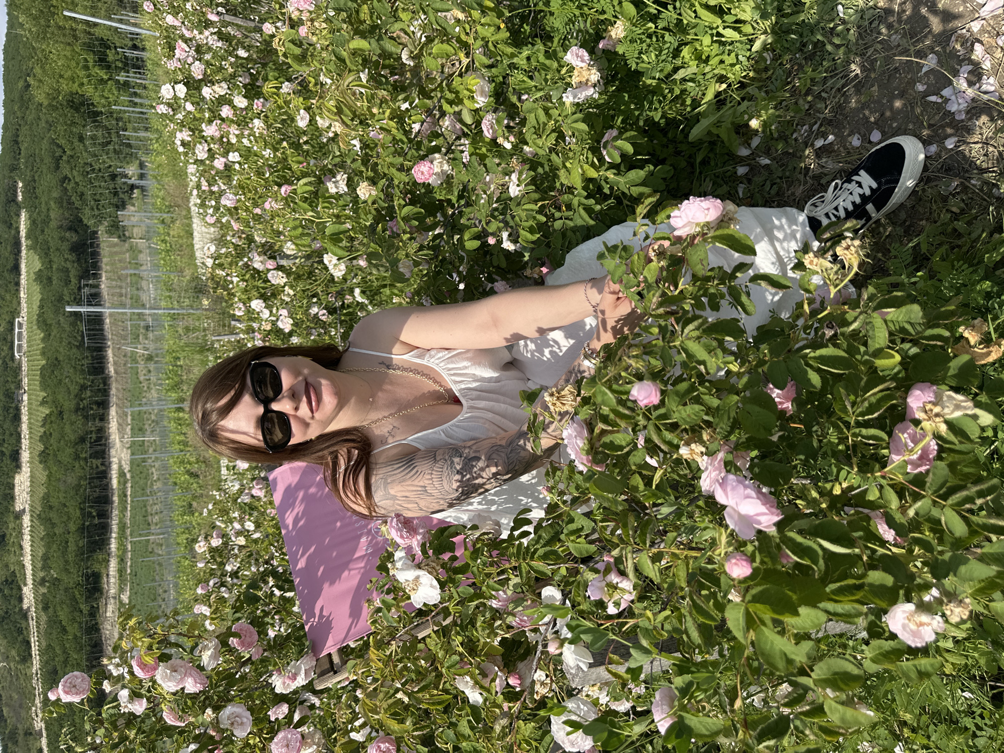 A woman with brown hair and sunglasses is seated in a field of pink and white roses. She is wearing a white dress and black sneakers. A pink cloth is visible behind her. In the background, there are rows of vineyards on a hillside. The location is the Pavlovskiy district in Russia.