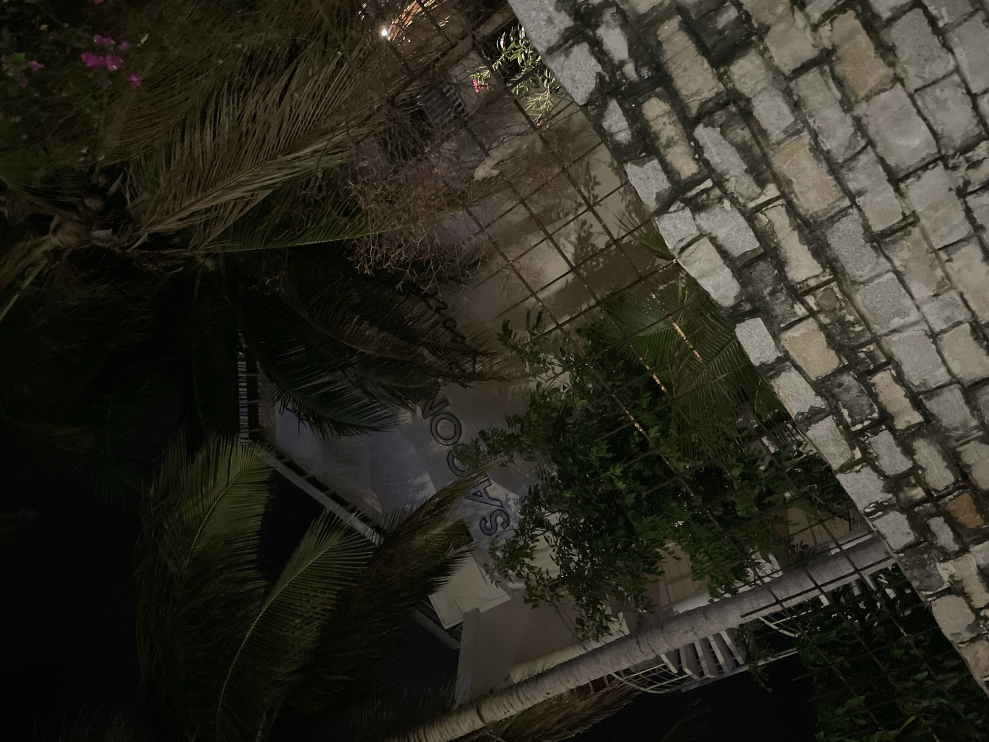 This is a nighttime, high-angle, outdoor shot of a tropical setting in Phu Thuy Ward, Vietnam. The foreground is dominated by the fronds of palm trees, some of which are dry and brown, while others are lush and green. In the mid-ground, a light-colored building with a prominent sign is visible. The sign has large, dark blue lettering that appears to read "SCOOYS." The building is partially obscured by dense green foliage, and a metal grate or fence runs across the scene in front of it, casting shadows. To the right, a wall constructed of rough, grey stone blocks forms a diagonal boundary in the upper right portion of the frame. The overall impression is of a dimly lit, perhaps resort-like, environment, with lush vegetation and weathered stone architecture. The time of day is clearly night, and the weather is not discernible from the image.