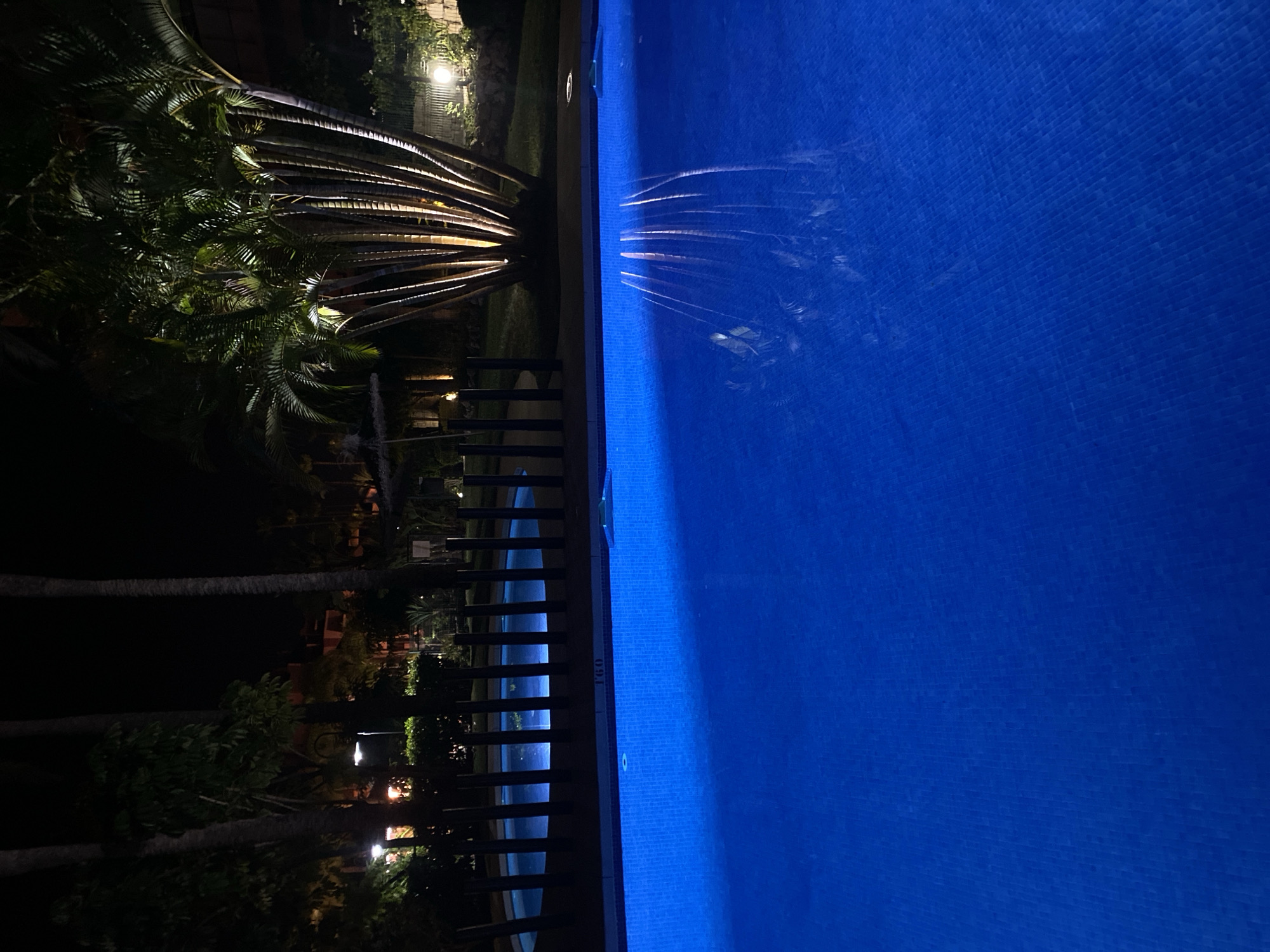 The image depicts a nighttime scene at an outdoor swimming pool area in Resinera-voladilla, Spain. The foreground is dominated by the brightly lit, blue-tiled surface of a swimming pool, with the reflection of palm trees visible on its surface. In the mid-ground, a smaller, circular pool is illuminated with blue lights and bordered by a dark fence. Behind the pools, a cluster of tall palm trees is dramatically lit from below, casting long shadows. Further in the background, trees and shrubs are visible, along with buildings and streetlights. The overall ambiance is tropical and serene.