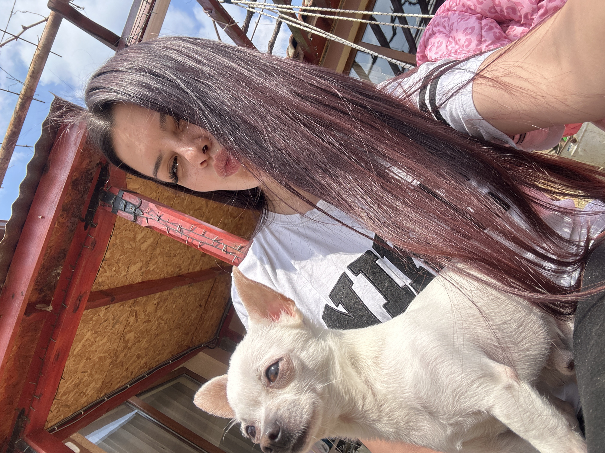A woman with long, dark reddish-brown hair is holding a white Chihuahua-type dog. She is wearing a white t-shirt with black lettering, and a pink jacket is visible in the background. The location appears to be outdoors on a sunny day, evidenced by the blue sky visible through the wooden structure behind them. The architecture visible in the image, a wooden frame structure, may suggest a balcony or porch. The location may be Chubra, Bulgaria, based on the provided information.