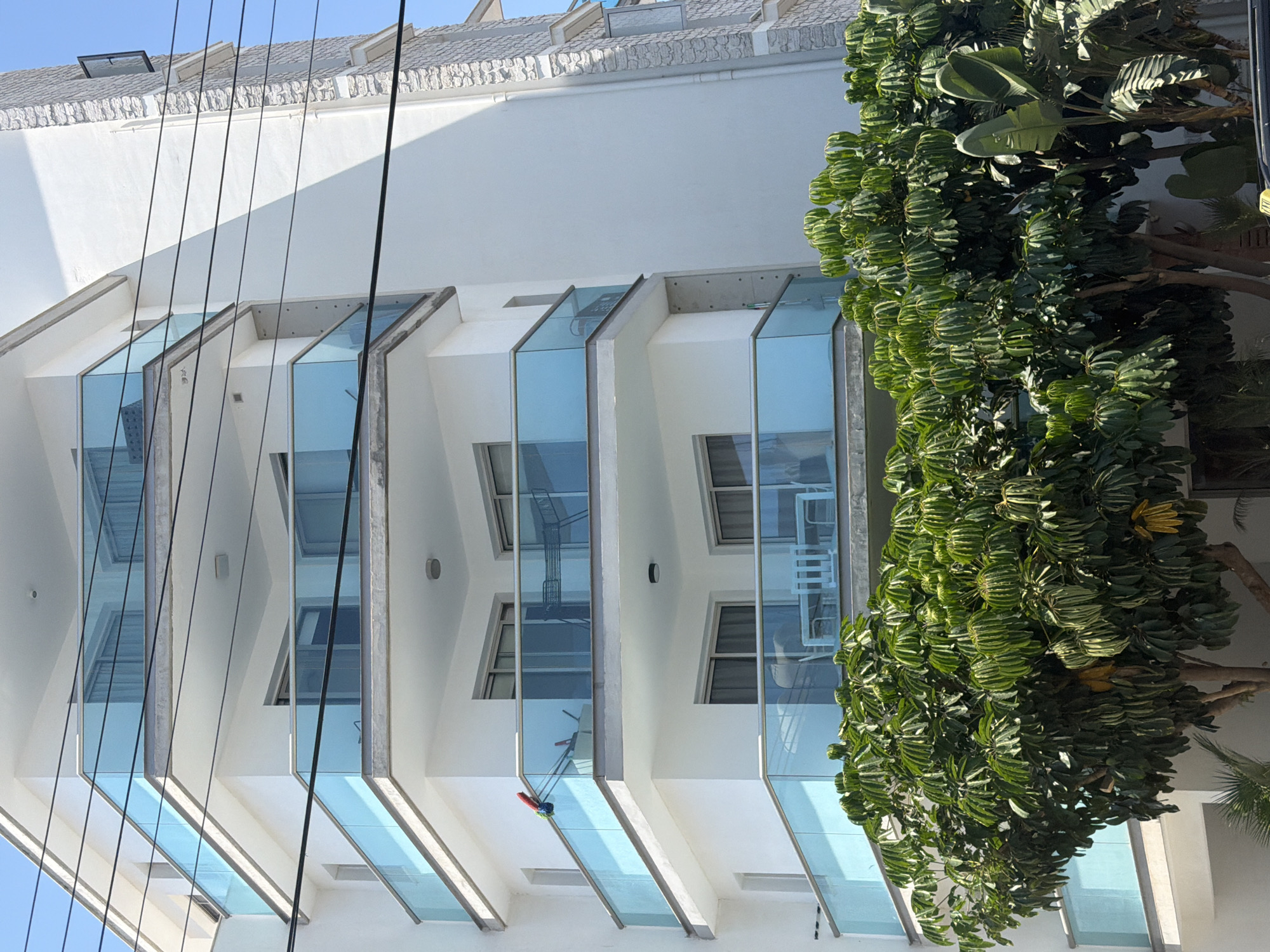 This is a daytime, eye-level, medium shot of a modern white apartment building with several balconies featuring blue glass railings. The building has a textured stone facade on its right side. Power lines are visible across the upper portion of the image. In the foreground, a lush green tree with broad leaves partially obscures the lower levels of the building. Some outdoor furniture, including chairs and tables, can be seen on the balconies. The scene appears to be a residential area in Larnaca, Cyprus, with a clear blue sky.