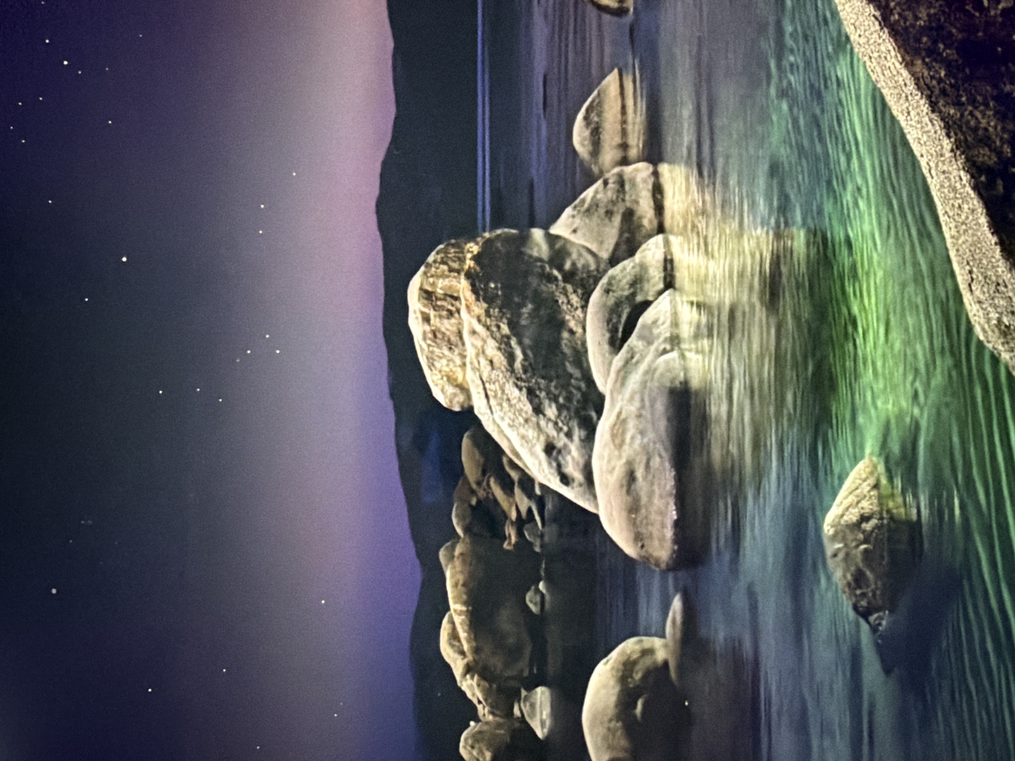 This image depicts a rocky shoreline at dusk or night, with a body of water in the foreground and mountains in the background under a star-filled sky. The water is a deep blue-green, with some areas illuminated by a vibrant, almost neon green light, suggesting either bioluminescence or artificial lighting. Large, smooth, and weathered rocks are scattered throughout the water and along the shore. The sky transitions from a dark indigo at the top to a soft purple and pink hue closer to the horizon. Numerous stars are visible in the sky. The overall scene evokes a sense of natural beauty and tranquility.
The provided information specifies the location as Kyiv, Ukraine. However, the visual elements in the image, such as the specific rock formations, the mountainous horizon, and the star patterns, do not allow for a definitive confirmation or denial of this location without external context or further analysis. The scene appears to be a natural landscape, not a typical urban environment. Therefore, it is not possible to identify a specific location within the city of Kyiv based solely on the image.